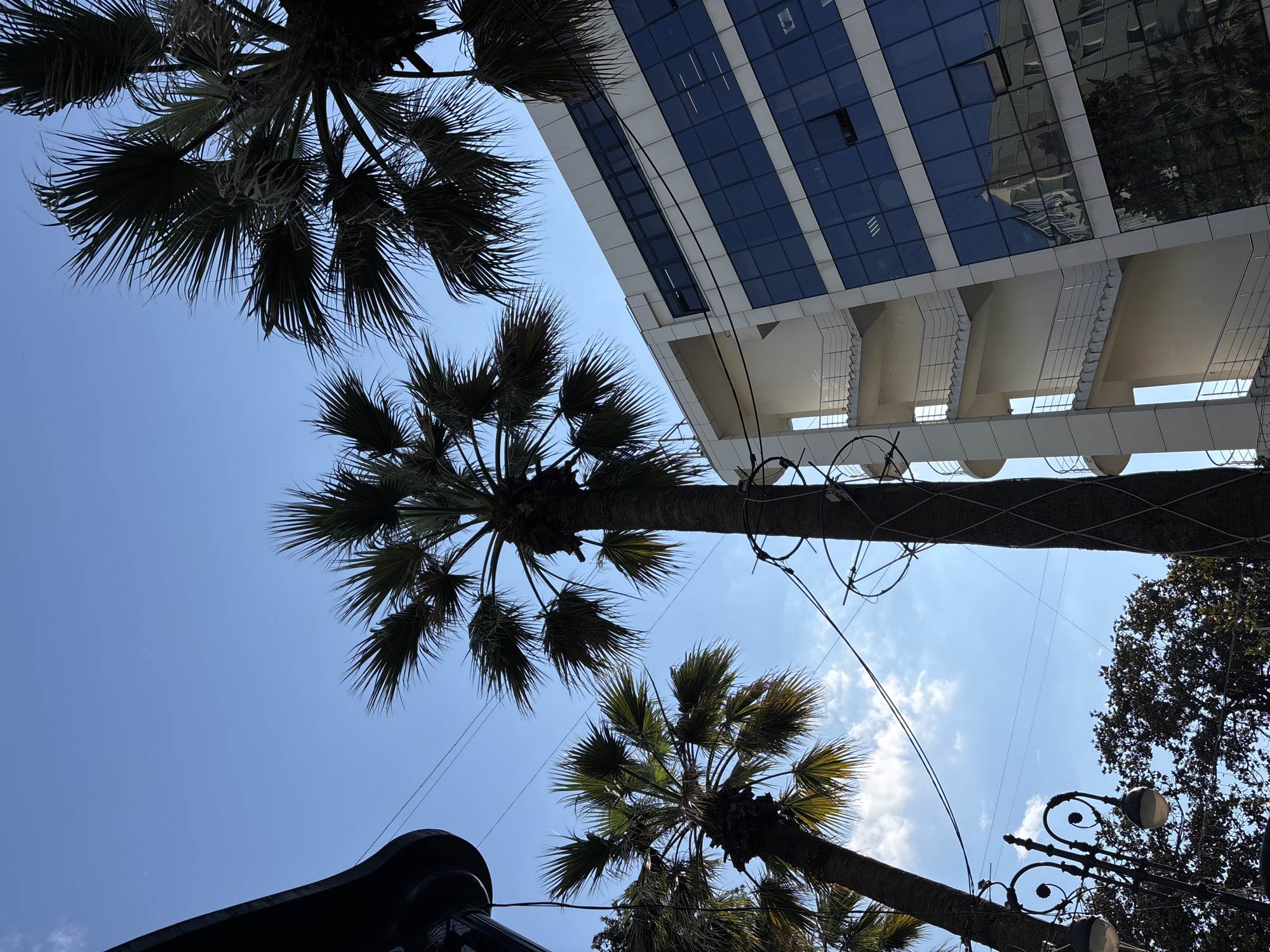 This media file captures a view looking upwards towards the sky, featuring several prominent palm trees against a clear blue sky with a few wisps of white clouds. A modern building with a glass facade, reflecting the sky and surrounding foliage, rises prominently in the background. The building has a distinct architectural style with white horizontal supports and rows of dark blue windows.
The image appears to be taken during the daytime, likely late morning or early afternoon, given the bright sunlight casting shadows. The weather seems fair and pleasant. The presence of palm trees and the modern architecture suggests an urban or semi-urban setting, possibly in a warmer climate. Given the location context of Sochi, Russia, this scene could be along the coastline or in a city park.
Other notable details include electrical wires crisscrossing the sky, adding a utilitarian element to the scene. A decorative street lamp with ornate metalwork is visible in the lower right portion of the image, further indicating an urban or public space. The perspective of the shot, looking directly up, emphasizes the scale of the building and the canopy of the palm trees. There are no visible people or specific activities taking place, making it a static shot of the environment. No visible text is present in the image.