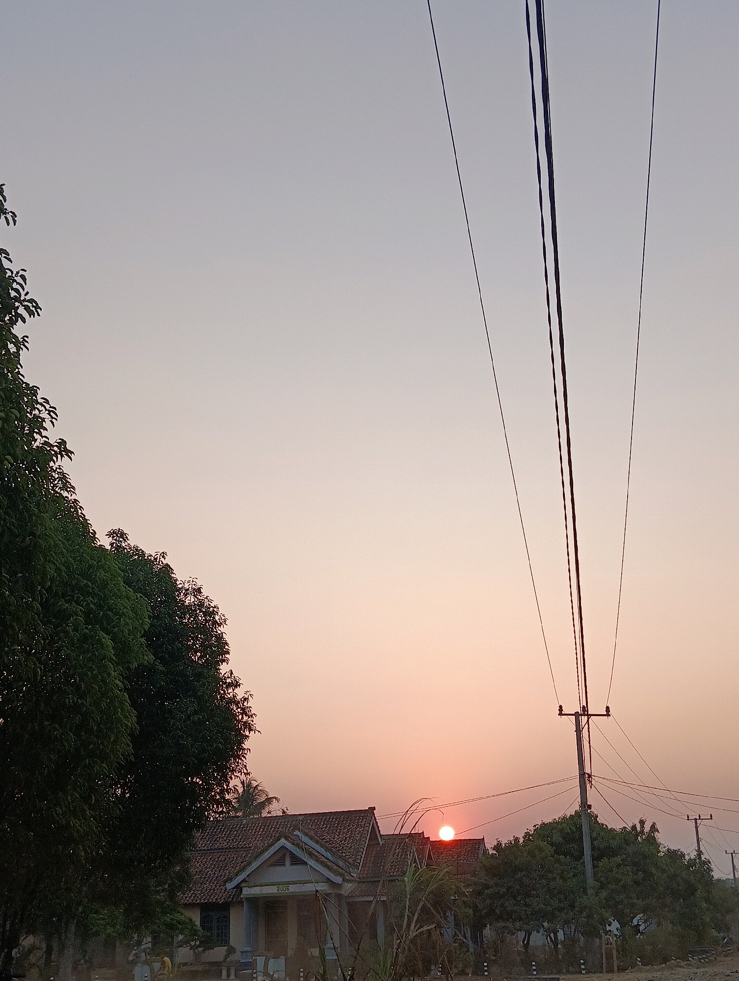 A landscape image captured during sunset features a rural Indonesian setting in Pematang Jaya. The sky is a soft gradient of pink and orange. In the foreground, lush green trees dominate the left side of the frame. Several power lines, supported by utility poles, run diagonally across the sky. A cluster of houses with tiled roofs is visible in the mid-ground, with the sun just above the horizon, casting a warm glow. The overall scene depicts a tranquil evening in a semi-urban or village environment.