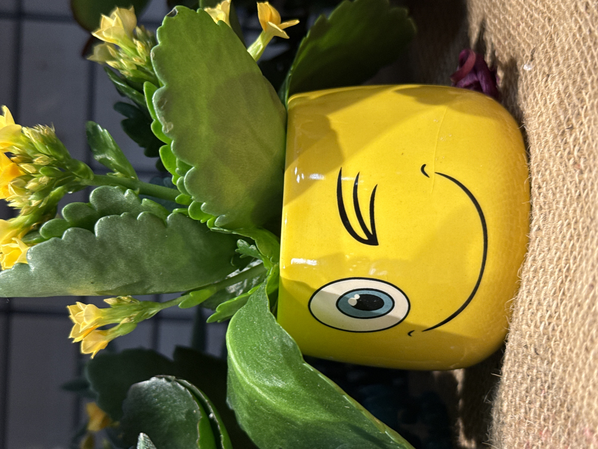This image shows a close-up of a yellow ceramic pot shaped like a smiley face, holding a small flowering plant with green leaves and yellow blossoms. The pot has a winking eye and a smiling mouth. The plant is vibrant and healthy. The pot is placed on a textured surface, possibly burlap or jute, which appears to be a mat or a tablecloth. In the background, the setting is out of focus, but hints of other plants and a dark, possibly metallic, grid structure are visible, suggesting an indoor environment like a greenhouse, a nursery, or a home decor setting. No people are visible in the image. The scene does not provide any specific information that would allow for its location to be identified as Herzberg, Germany.