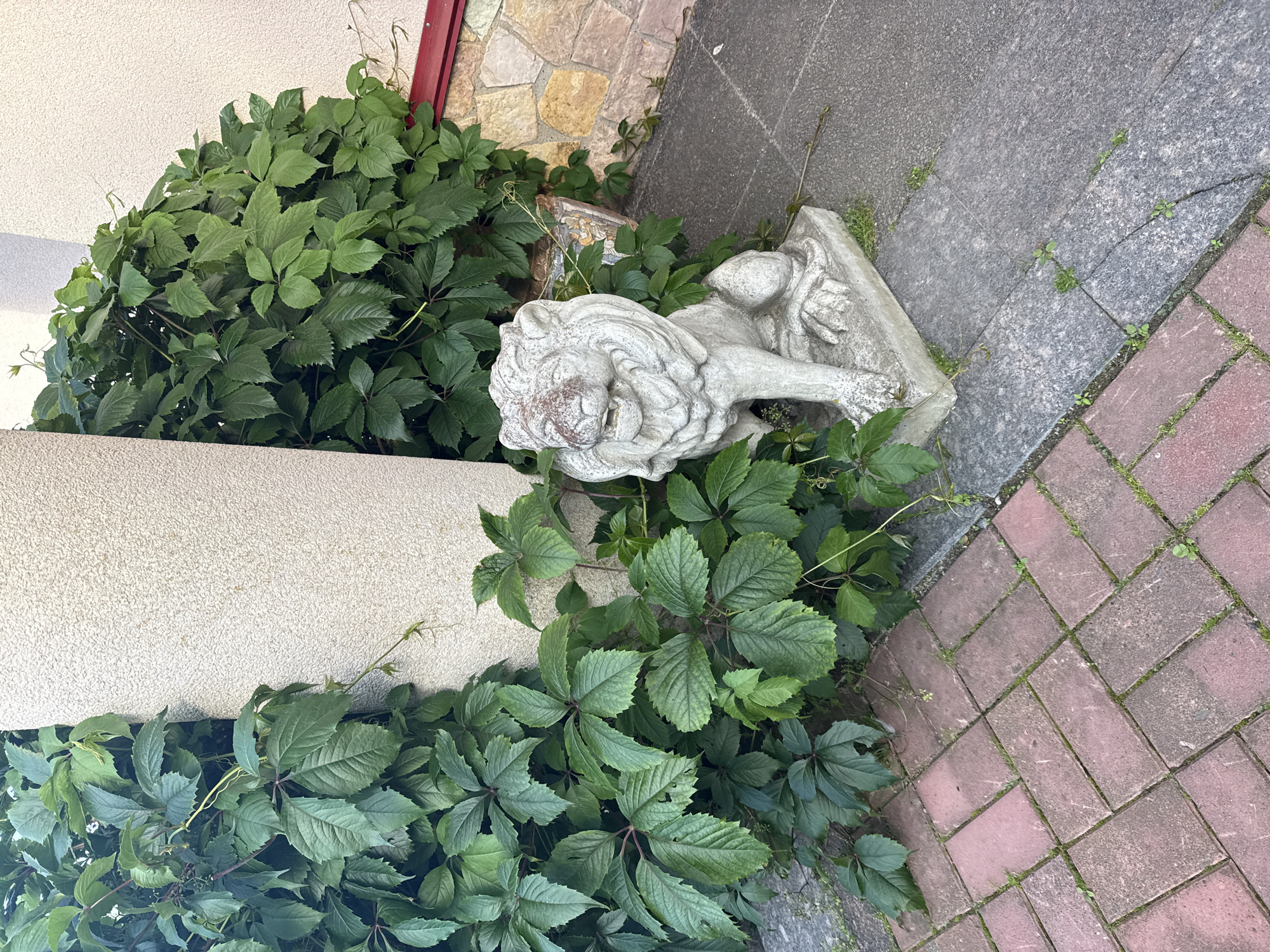 A concrete lion statue is positioned in front of lush green foliage, adjacent to a building with a textured cream-colored wall and a decorative stone lower facade. The statue is seated with its mouth open and mane visible. To the left of the statue, a paved area is covered with reddish-brown bricks laid in a herringbone pattern. To the right of the statue, a darker gray paved surface with some cracks and scattered weeds is visible, separated by a darker gray granite curbstone. The overall setting appears to be an outdoor area, possibly a garden or courtyard. This image was captured in the city of Yukki, Russia.