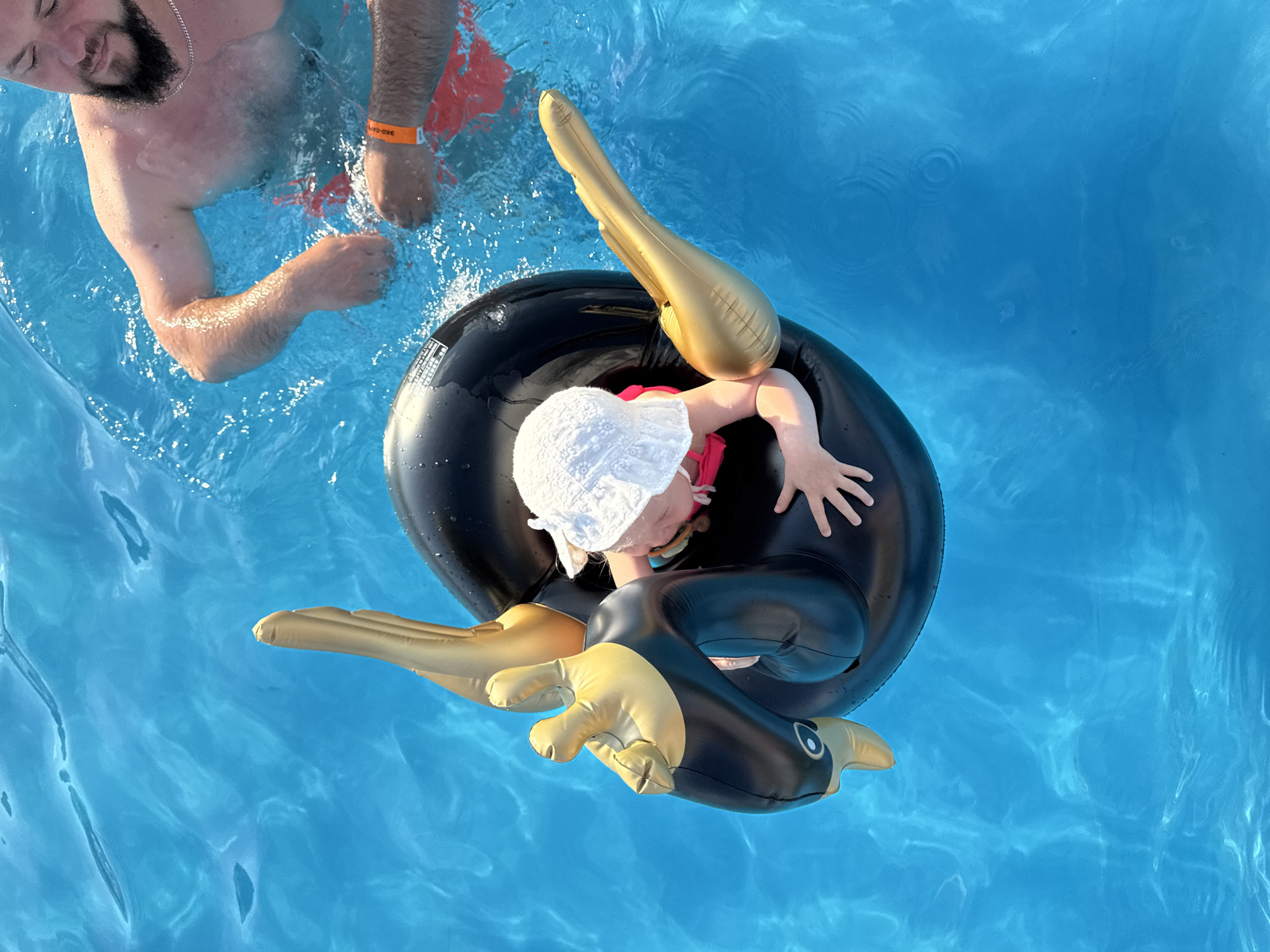 The image shows an overhead view of a person and a child in a bright blue swimming pool. The child is sitting in a black inflatable swan float with gold accents. The child is wearing a white hat and a pink swimsuit. To the right of the child, an adult male is partially visible in the water, wearing red swim trunks and an orange wristband. The water is clear and shows ripples. The setting is a swimming pool, possibly at a resort or private residence. The location is not explicitly shown, but the question specifies the city of Колокша, Russia.