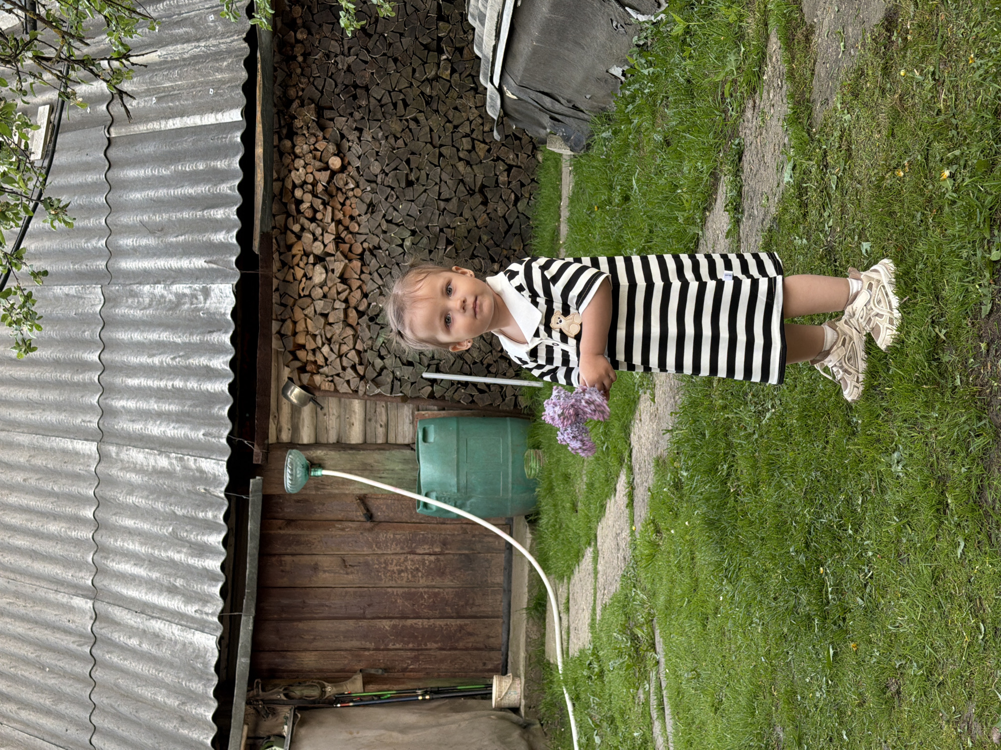 A young child in a black and white striped dress stands on a stone pathway bordered by grass. She is holding a bouquet of purple flowers. Behind her is a wooden shed with a corrugated metal roof. To the right of the shed, a stack of firewood is visible. A green barrel and a garden hose are also visible near the shed. The location is Спас-Заулок, Russia.