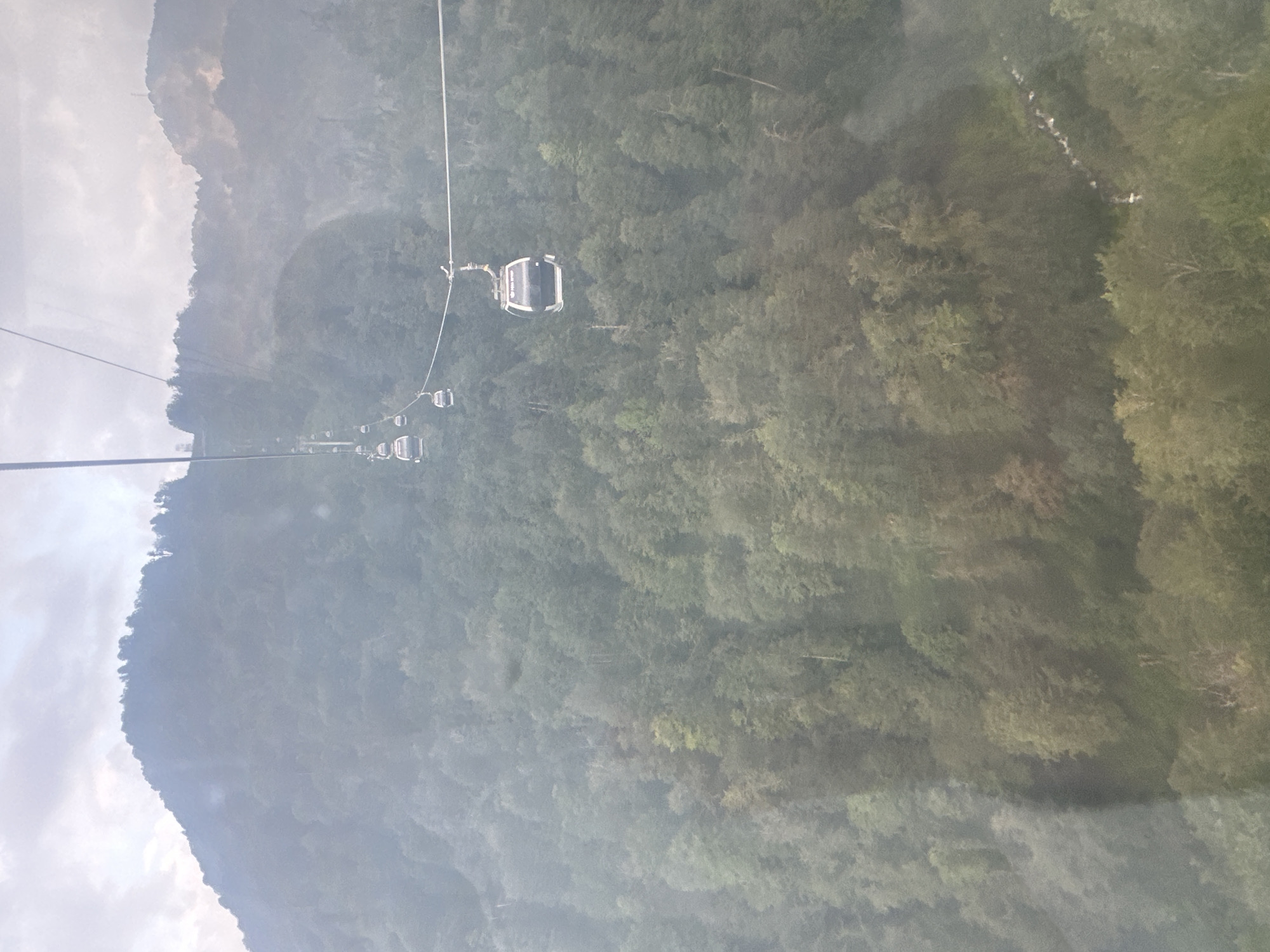 This image depicts a view from a cable car moving over a densely forested mountain slope in Estosadok, Russia. Several cable car cabins are visible on the wire, ascending or descending the mountain. The landscape is dominated by a thick canopy of green and some autumnal-colored trees, indicating a temperate climate. A narrow, winding river or stream is visible in the lower right portion of the image, carving its way through the vegetation. The sky above is overcast with soft, diffused light, contributing to a somewhat hazy and atmospheric quality of the scene. The cable car itself appears modern and enclosed, suggesting it is a mode of transport for tourists or residents to navigate the mountainous terrain. The overall impression is one of a scenic, natural environment accessible by modern infrastructure.