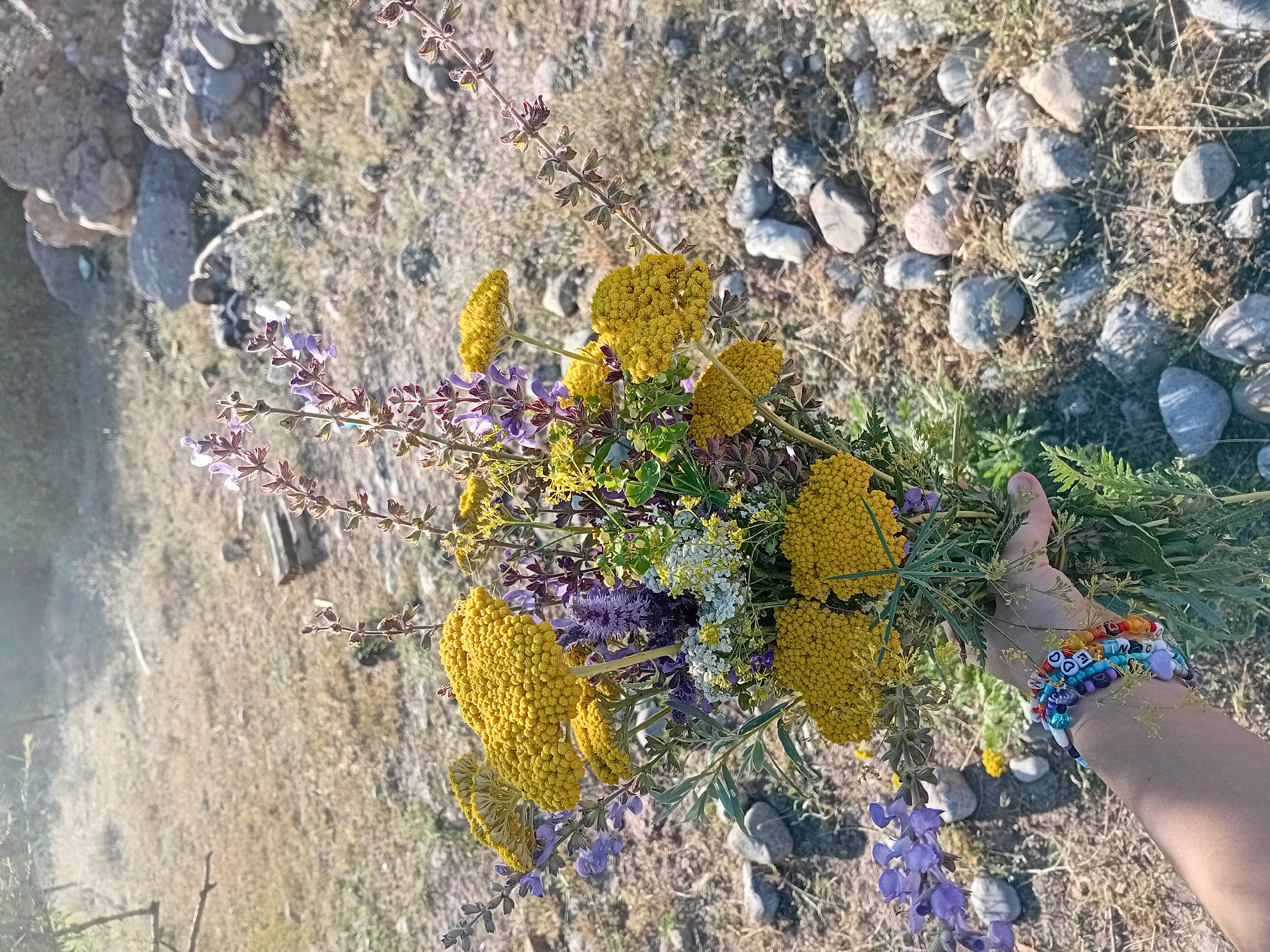 A close-up, eye-level shot focuses on a hand holding a bouquet of wildflowers. The bouquet contains various yellow, white, and purple flowers, with prominent clusters of yellow blooms that resemble yarrow. The hand, adorned with colorful beaded bracelets, is positioned in the foreground, obscuring the lower part of the bouquet. The background depicts a dry, rocky landscape, characteristic of a rural or natural setting. Small, grey stones are scattered across the ground, which is covered with dry grass and sparse vegetation. In the upper left corner, a branch of a tree is visible against a bright, sunlit sky. The overall scene suggests an outdoor environment, possibly in the region of Көксаяқ ауылдық округі, Kazakhstan, given the dry, rocky terrain and the types of wildflowers. The lighting indicates it is daytime, likely morning or afternoon due to the soft sunlight. There are no other people or identifiable structures visible in the frame.