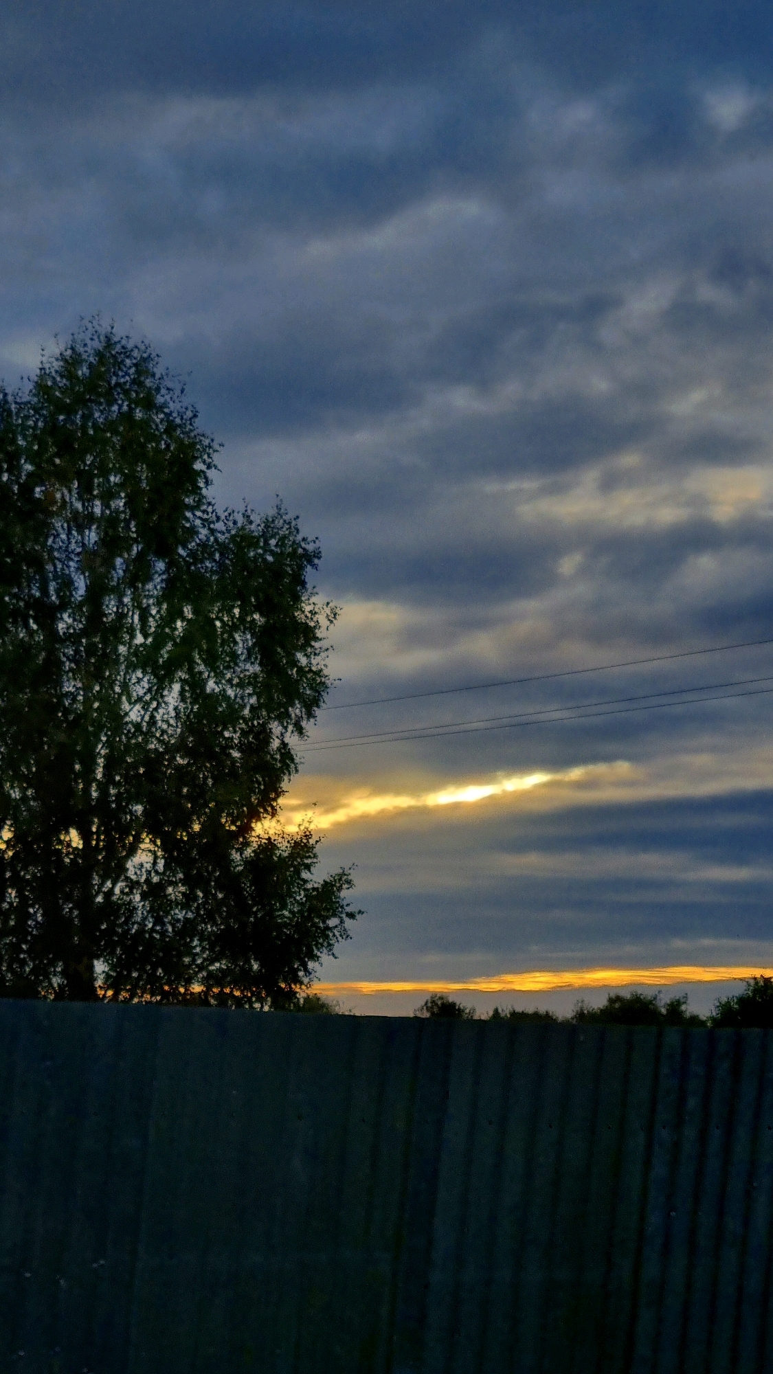 A vertical, outdoor photograph captures a dark, overcast sky with a horizontal band of sunlight breaking through the clouds near the horizon. In the foreground, a dark, textured fence runs horizontally across the bottom of the frame. To the left, the silhouette of a large tree with dense foliage is visible, partially obscuring the sky. Power lines are also visible crossing the sky. The scene appears to be set in Vysokoe, Russia.