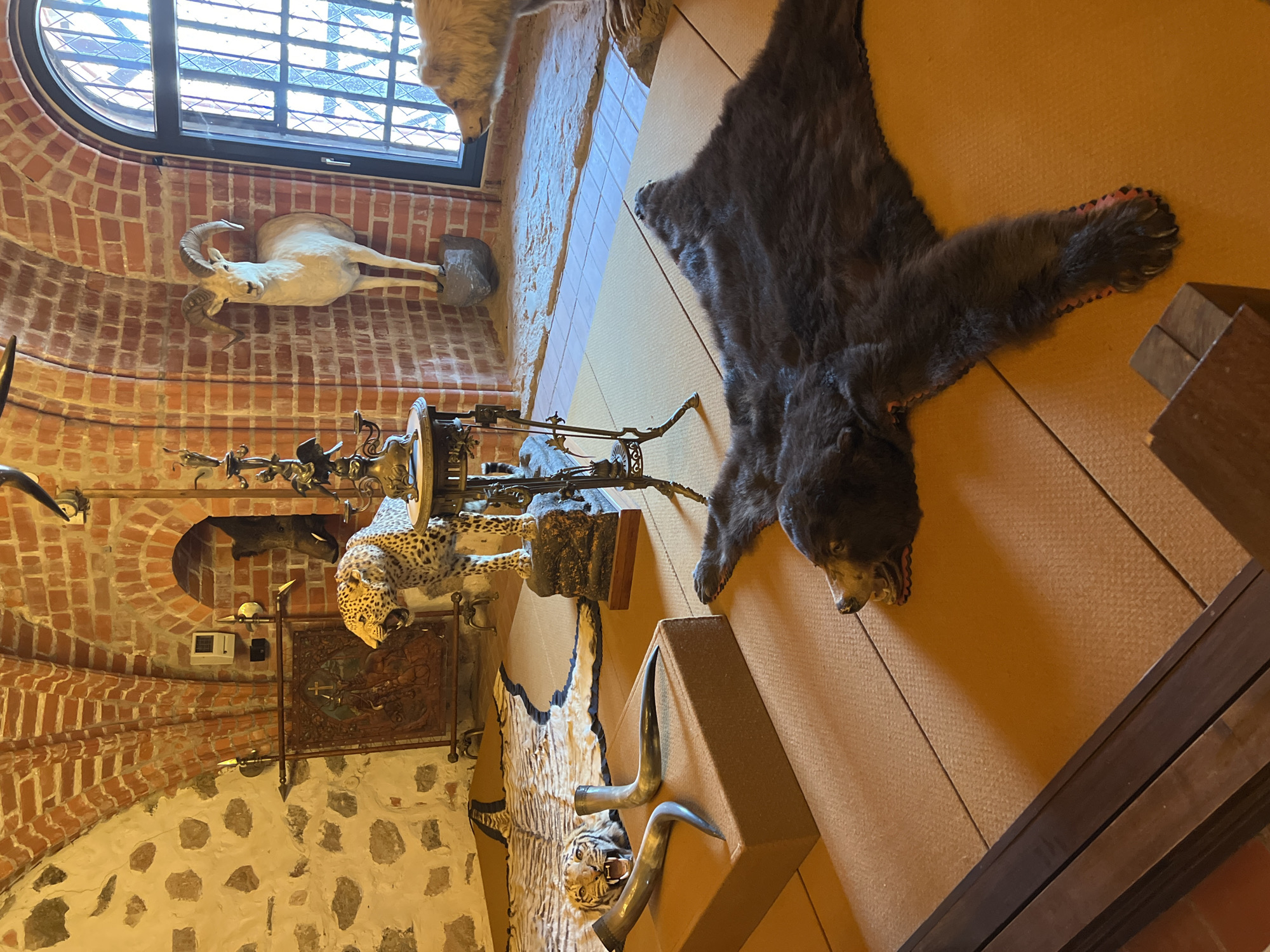 The image depicts a room, likely a museum exhibit, containing several taxidermied animals and historical artifacts. In the foreground, a dark brown bear rug is spread on the floor, with its head facing left. To the left of the bear rug, a taxidermied tiger rug is partially visible, with the tiger's head and a portion of its body on display. Two animal horns rest on a raised brown platform in front of the tiger rug. Behind the tiger, a taxidermied leopard stands on a rocky base. To the right of the leopard, a ram with large curved horns is mounted on the brick wall. An antique ornate stand with a light fixture sits between the leopard and the ram. In the background, a wild boar's head is visible through an arched opening in the brick wall. The room has stone and brick walls, and the floor is covered with mats and rugs. The overall impression is of a historical display, possibly related to hunting or natural history, located within a building with medieval architecture, such as the Trakai Island Castle or a related museum in Trakai, Lithuania.