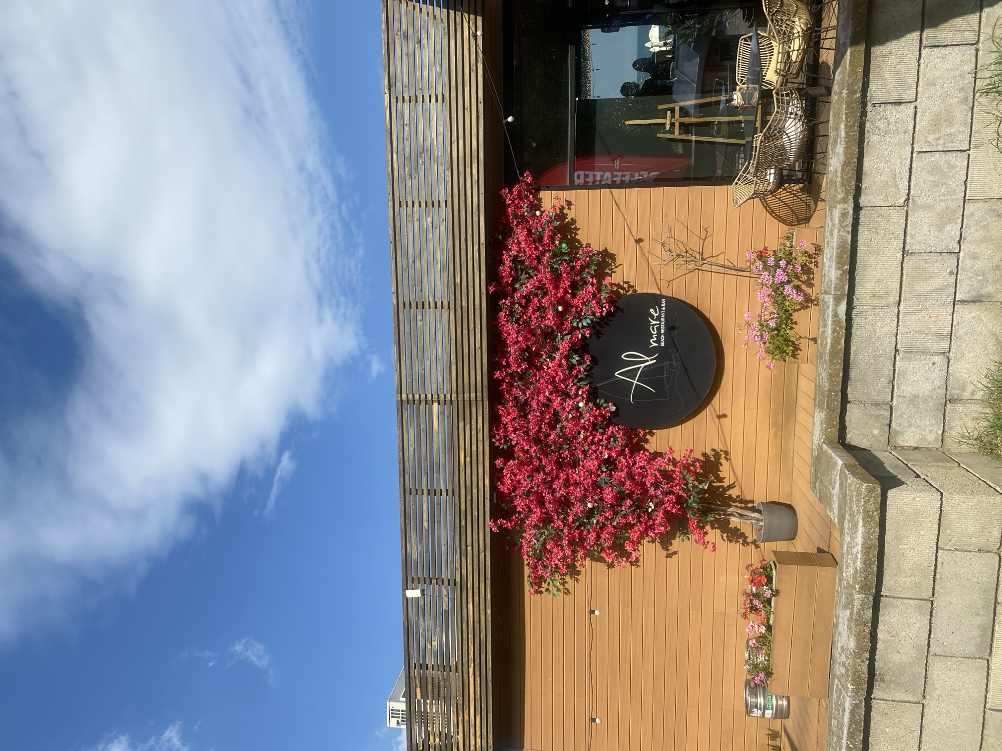 The image shows the exterior of a beach restaurant and bar named "Al mare" in Burgas, Bulgaria. The building has wooden paneling and a wooden slatted roof extension. A vibrant pink bougainvillea plant is growing up the side of the building. A circular black sign with the restaurant's name and logo is mounted on the wall. In front of the building, there are two wooden planters filled with pink and red flowers, and a large grey pot with a smaller bougainvillea plant. To the left of the planters, there are two metal kegs. Outdoor seating with rattan chairs and tables is visible through the glass windows of the restaurant. The sky is blue with scattered white clouds. The scene is set on a sunny day, with the building appearing to be located by the sea or a waterfront area. The foreground features a low stone wall.