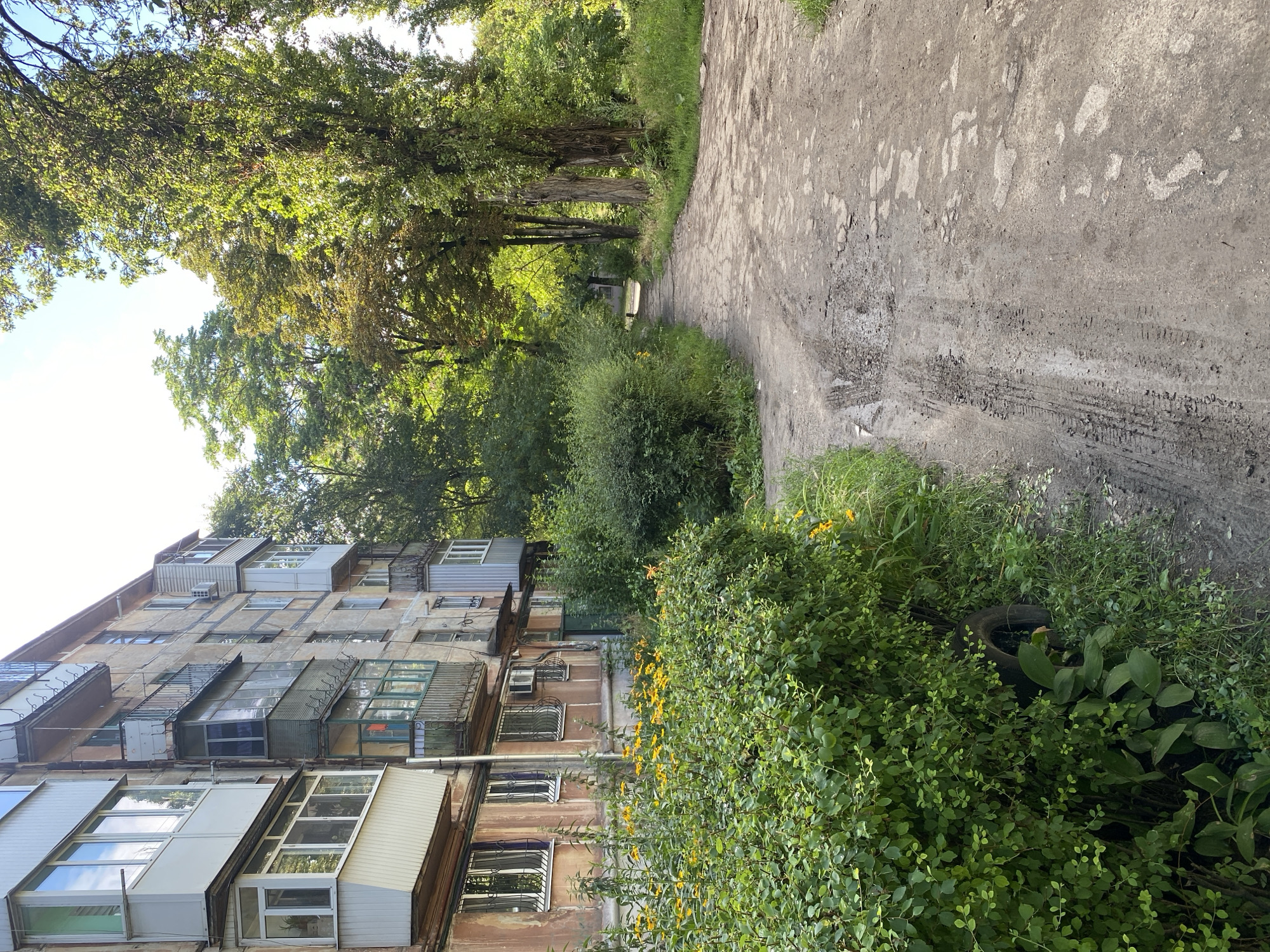 The image depicts a street scene in Kamianske, Ukraine, on a sunny day. On the left, a weathered, multi-story apartment building with balconies and air conditioning units lines the side of the street. In front of the building, a lush green bush with yellow flowers grows, partially obscuring a black tire. A dirt road with tire tracks and puddles runs along the right side of the image, leading into a tree-lined area. The trees are dense and green, with sunlight filtering through the leaves, suggesting a park or natural area adjacent to the urban environment. The overall impression is one of a residential area with a mix of aging infrastructure and natural greenery.