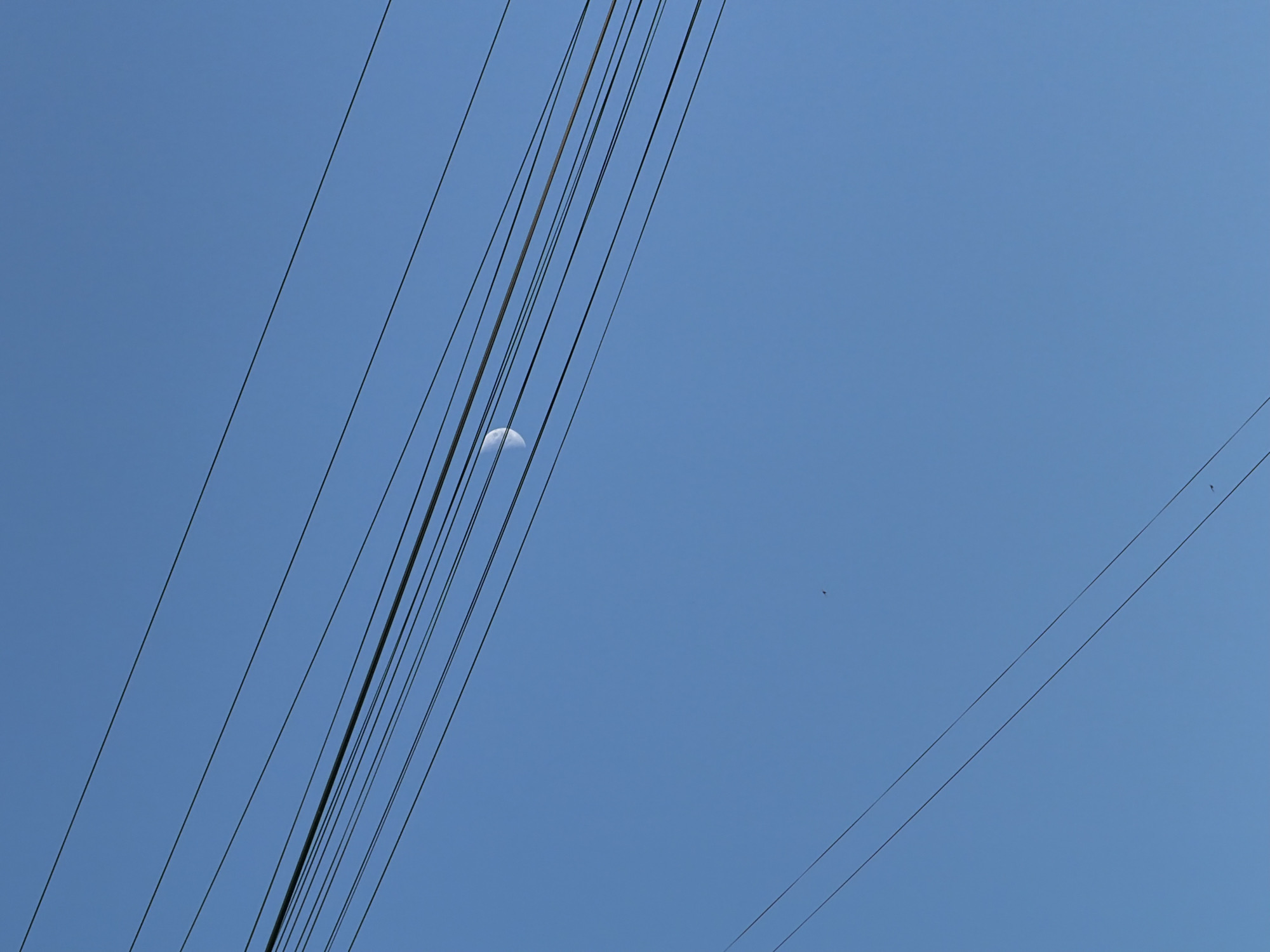 The image shows a clear blue sky with several overhead wires crisscrossing the frame. A crescent moon is visible in the upper center of the image, positioned between two of the wires. There are also two small, dark specks in the sky, which appear to be birds or insects. The scene suggests a view from an outdoor location, likely in an urban or suburban area where utility lines are present. The presence of overhead wires and the clear sky are common features in many cities, including Kolomna, Russia.