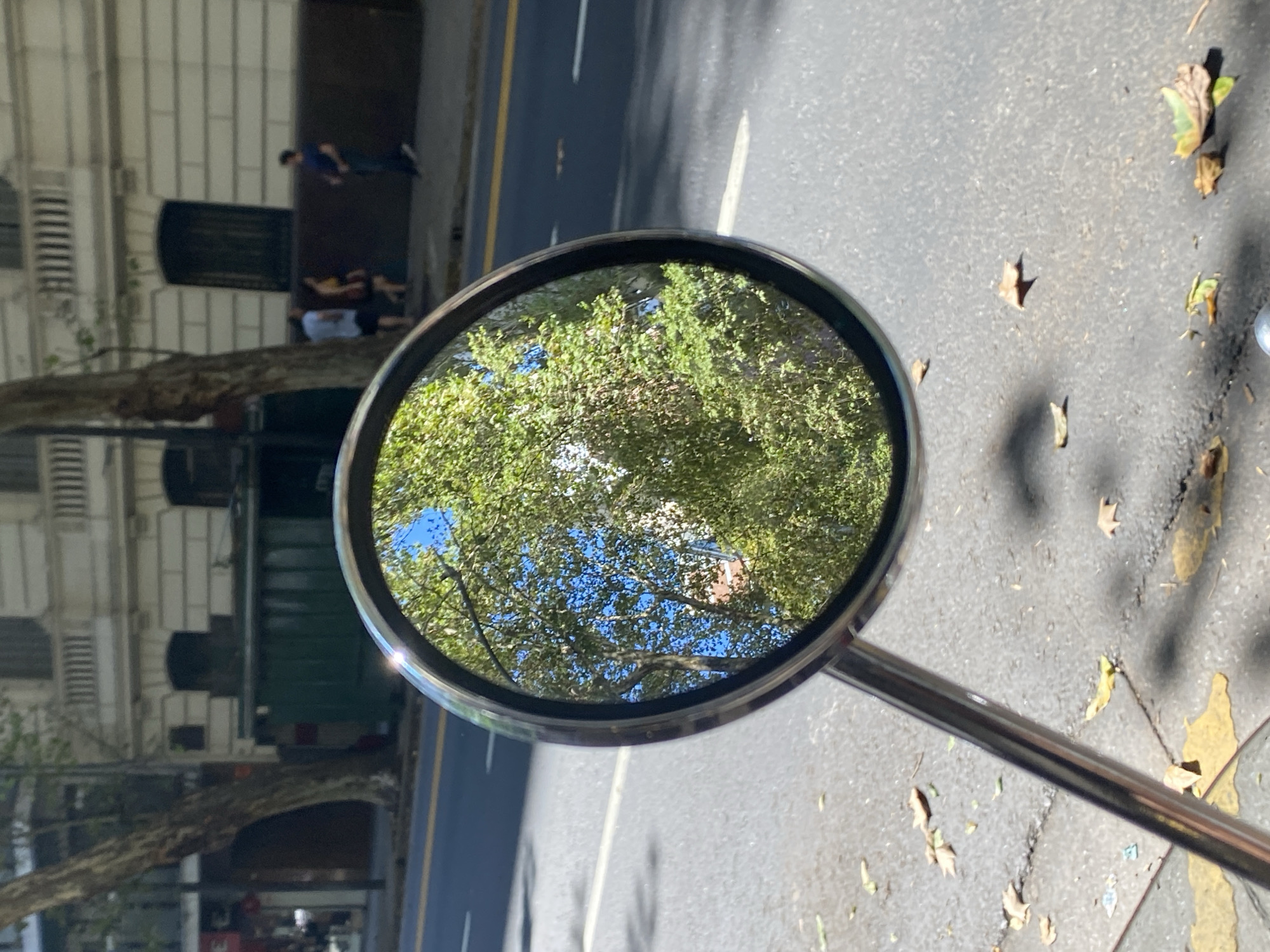 A street scene in Buenos Aires, Argentina is reflected in a round chrome mirror attached to a metal rod, likely a side mirror on a vehicle. The mirror reflects green trees and a building with white architecture. The street is paved and marked with a yellow line. Leaves litter the pavement. The mirror is angled to also capture a street scene with people sitting. In the reflection are the people.