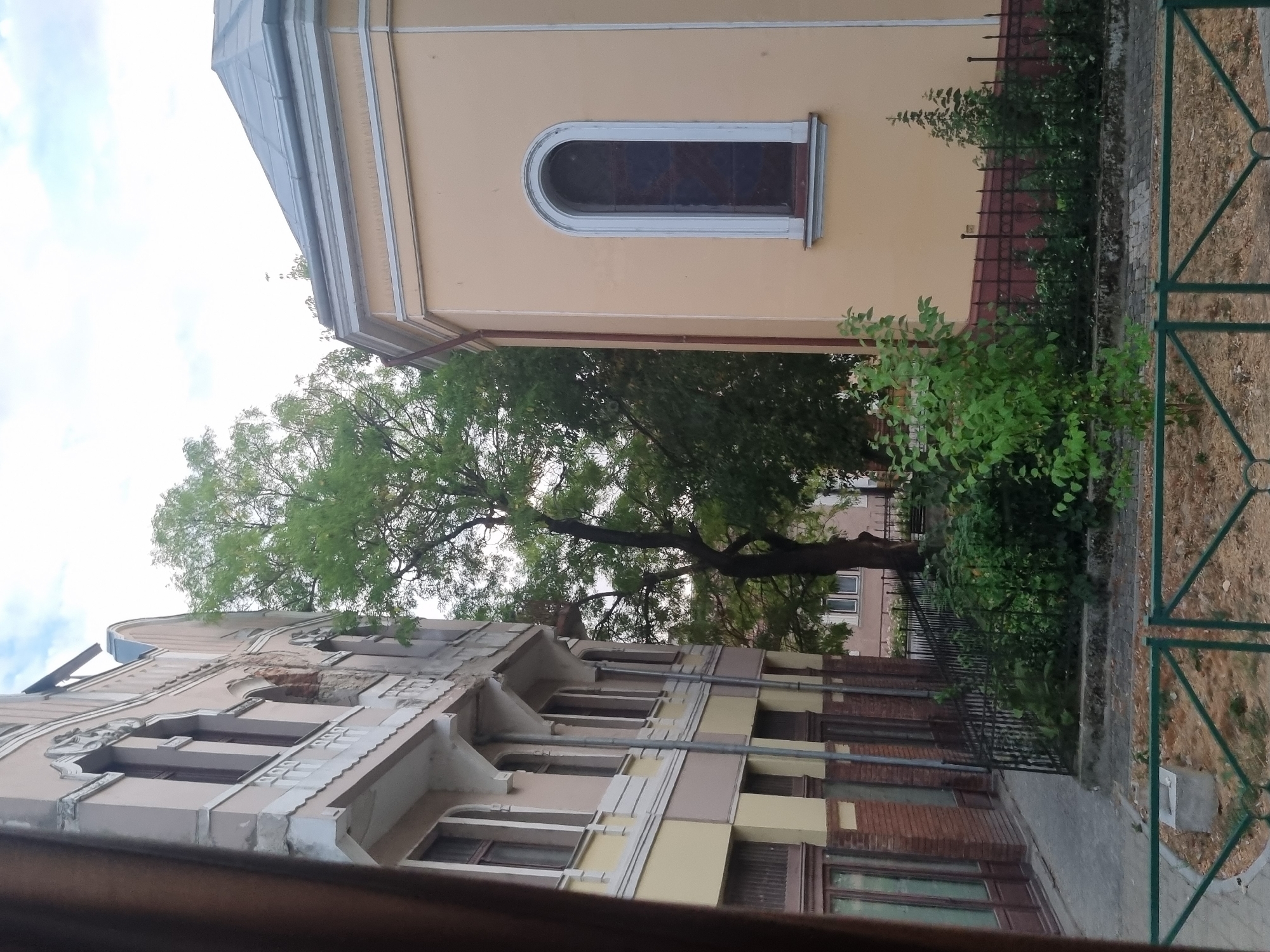 The image shows an outdoor scene with two buildings and vegetation in the city of Salonta, Romania. On the left, a multi-story building with a light-colored facade and arched windows is visible. The facade has decorative architectural elements. Adjacent to this building is a tall tree with green foliage. To the right of the tree is a single-story building with a pale yellow facade and a dark, arched window with a light frame. A dark metal fence runs along the front of this building, separating it from a patch of ground with dry grass and scattered leaves. A green metal fence is also visible in the foreground. The sky above is cloudy.
