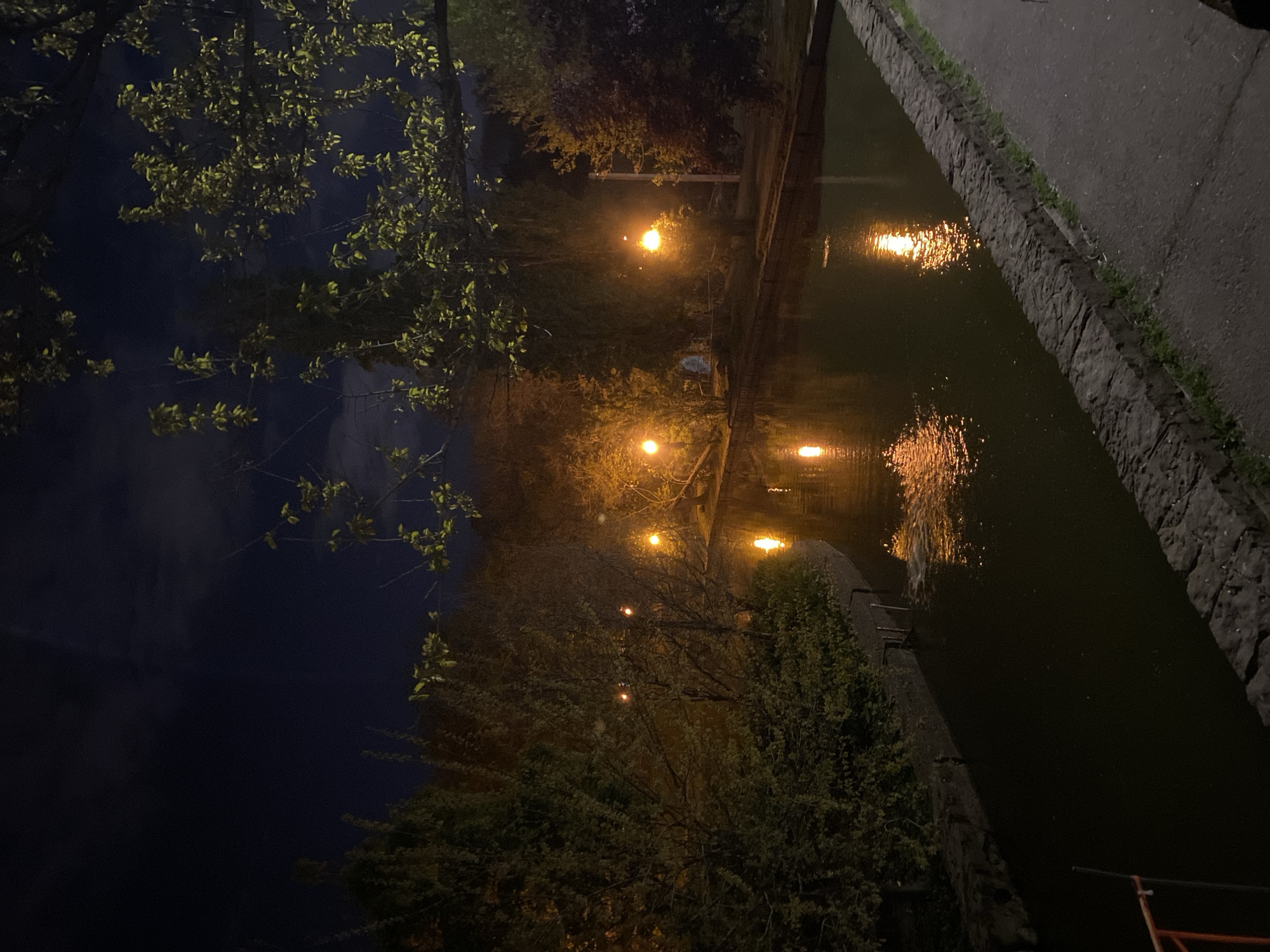 The image captures a serene nighttime scene along a canal or river. The sky is dark blue to black, with some faint cloud cover visible.
On the left side of the frame, the dark silhouettes of trees and bushes are visible, with their leaves illuminated by artificial light sources, appearing a vibrant green against the dark background. Some tree branches extend into the upper left portion of the image.
The central part of the image features a body of water, likely a canal or narrow river, stretching from the middle-ground towards the background. Along the far bank, several bright, warm-toned streetlights are visible. These lights cast prominent, shimmering reflections onto the water's surface, appearing as streaks of orange and yellow. The far bank is lined with more trees and dense bushes, which are also partly illuminated by the streetlights.
On the right side, a sturdy, dark stone or concrete retaining wall forms the near bank of the water. Small patches of green grass grow along the top edge of this wall. Adjacent to the wall is a dark, paved surface, which could be a pathway or a road, extending into the distance. The water itself is dark, reflecting the light sources and the dim outlines of the surroundings.
The overall impression is one of peaceful nocturnal ambiance, with the artificial lights creating a contrast against the dark natural elements. No human activity or visible text is present.
