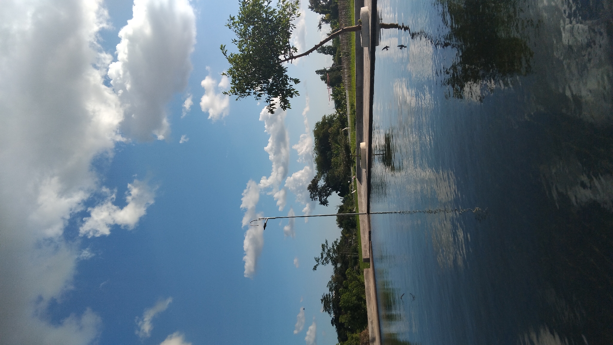 This image depicts a serene outdoor scene, likely a park or garden, in Ngaglik, Indonesia. A large body of calm water, possibly a pond or reflecting pool, occupies the foreground, mirroring the bright blue sky dotted with fluffy white clouds and the surrounding greenery. A modern, minimalist lamppost stands tall on the left side of the frame, its reflection visible in the water. On the right, a solitary tree with lush green foliage is planted in a concrete base, its silhouette also cast upon the water's surface. In the background, a line of diverse trees and vegetation forms a natural barrier. A low concrete wall separates the water from the land. The overall atmosphere is peaceful and tranquil, with no people or explicit human activity visible. The lighting suggests it is daytime, possibly late morning or early afternoon, given the clarity of the sky and the reflections.