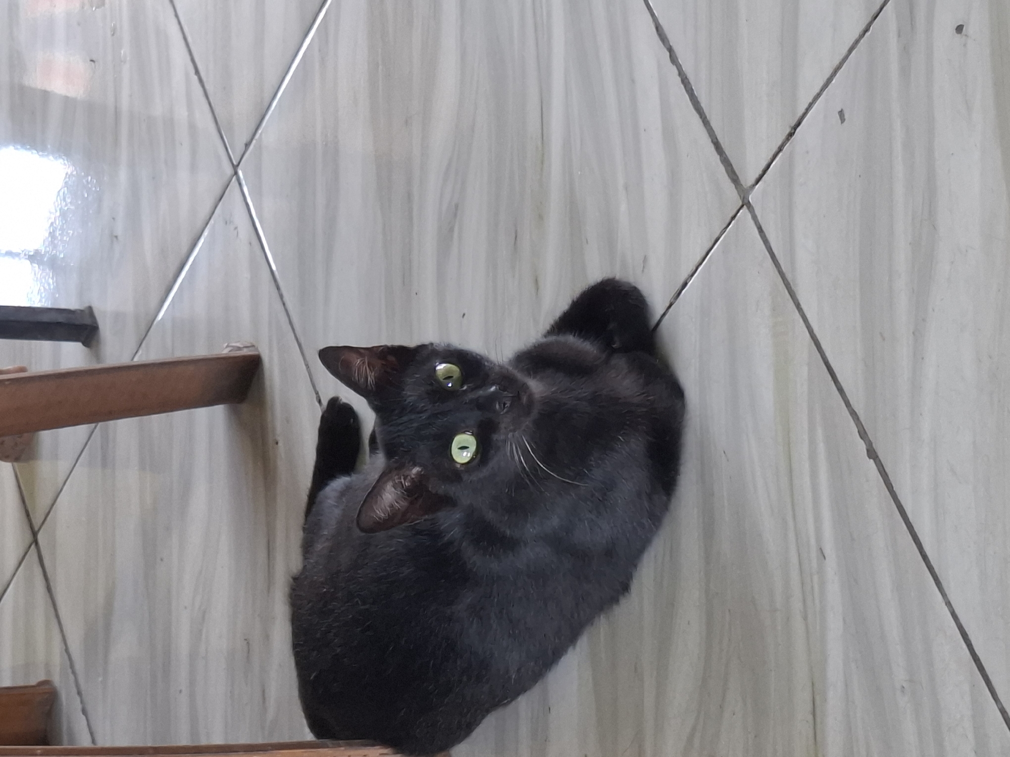 A black cat with green eyes is lying on a tiled floor, partially underneath a wooden chair. The cat is looking at the camera. The floor is made of light-colored tiles with darker grout lines. The scene appears to be indoors.