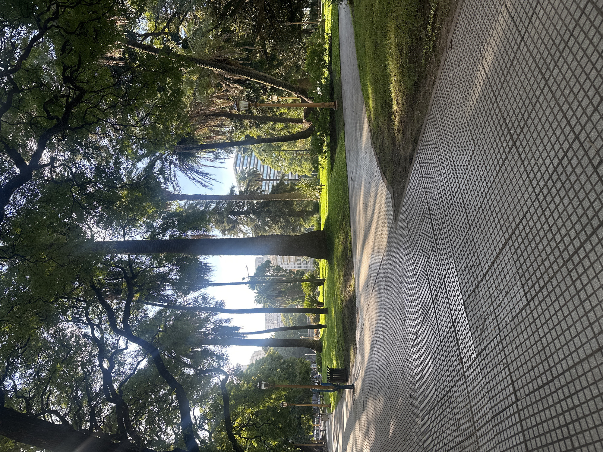 The image depicts a park scene in Buenos Aires, Argentina. A patterned gray stone pathway curves through the park. To the left of the path are various trees, including mature deciduous trees and palm trees. Sunlight filters through the trees, creating dappled light on the pathway and grassy areas. A building is visible in the distance between the trees. There are benches and light poles present. The pathway's edge is defined by a strip of green grass. A trash receptacle is near the pathway. No people are immediately visible.