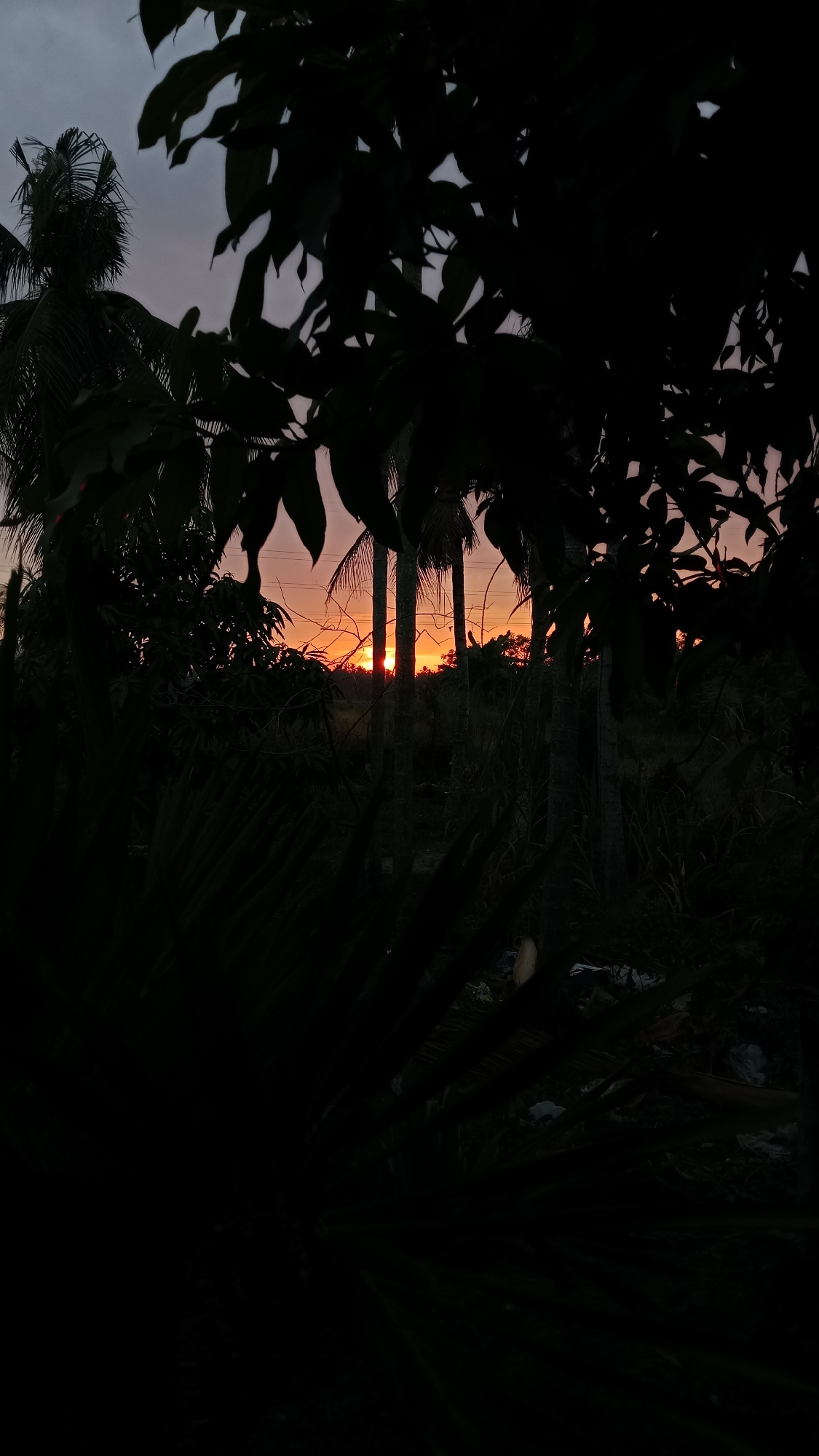 The image shows a sunset over Lhokseumawe, Indonesia, viewed through a dark, silhouetted foliage in the foreground. The sky is a gradient of orange and purple hues, with the sun just touching the horizon. Palm trees and other vegetation are visible in the middle ground, also silhouetted against the vibrant sky. The overall impression is one of a tropical evening, with the darkness of the foreground creating a sense of depth and mystery.