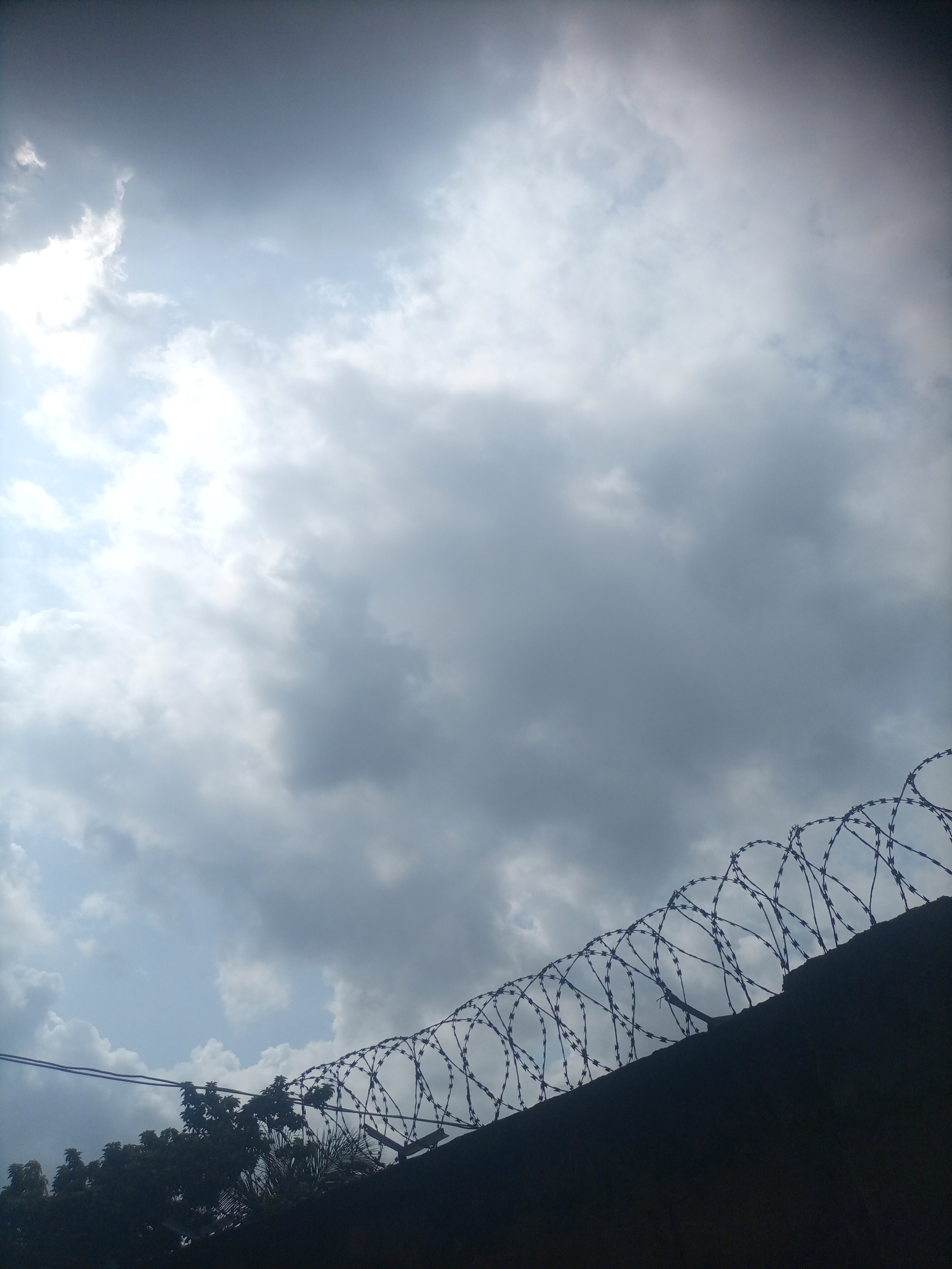 A security fence, made of coiled barbed wire, runs along the top of a dark, textured wall. The fence is silhouetted against a cloudy sky. To the left of the wall, the tops of dark green trees are visible, with some branches extending upwards. Above the trees and the wall, the sky transitions from a bright, cloudy expanse on the left to darker, more ominous clouds on the right. A thin wire cable is stretched horizontally across the upper left portion of the image, above the trees.