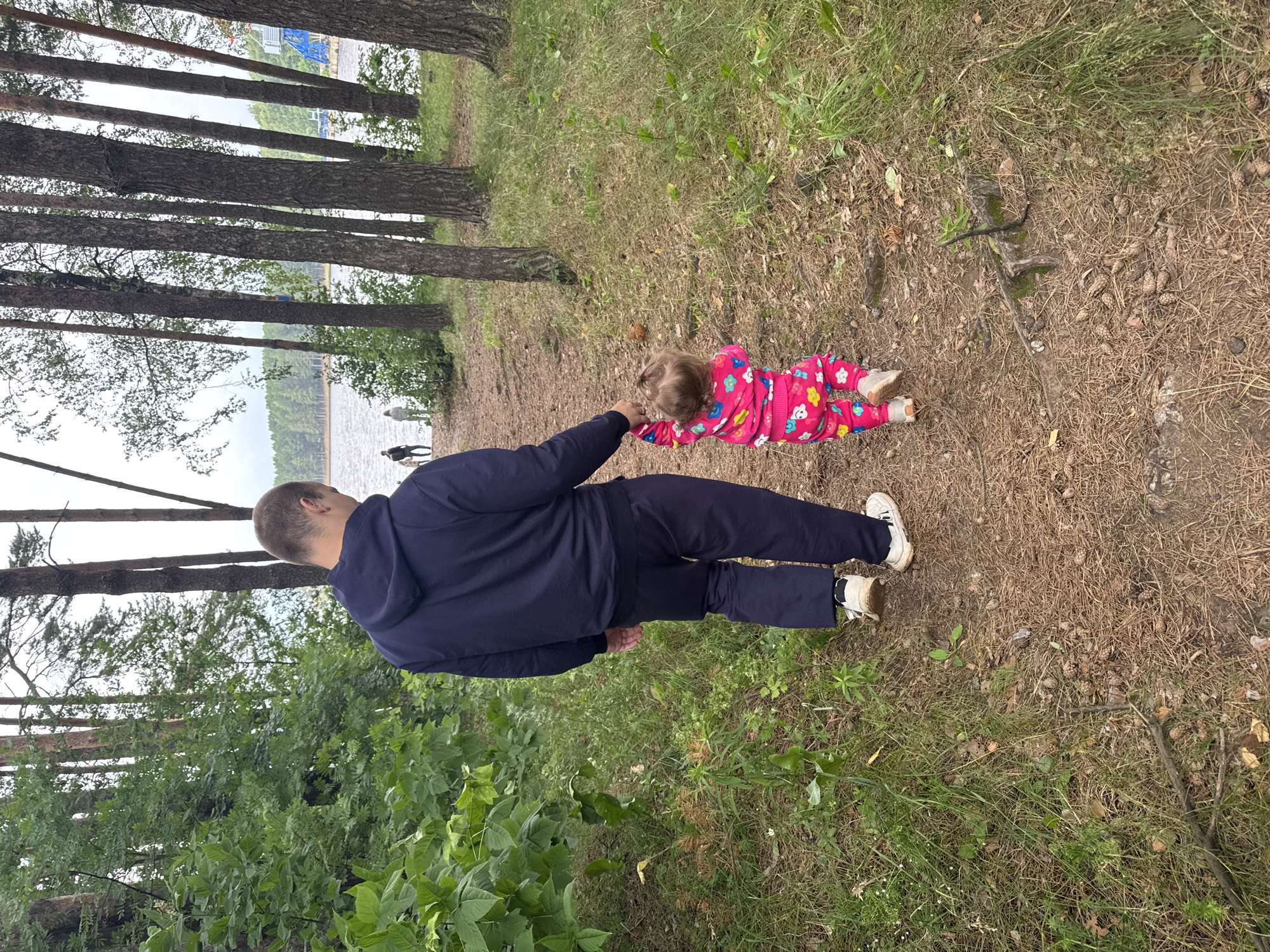 In Chaikovsky, Russia, a man walks hand-in-hand with a toddler on a dirt path through a pine forest bordering a body of water. The man, seen from behind, wears a dark blue hooded sweatshirt and dark pants. The toddler, also viewed from behind, is dressed in a bright pink outfit with a floral pattern and is taking a step. The path is covered in pine needles and scattered cones. Lush green foliage lines the left side of the path, while tall pine trees dominate the right. In the distance, across the water, a treeline is visible under an overcast sky.