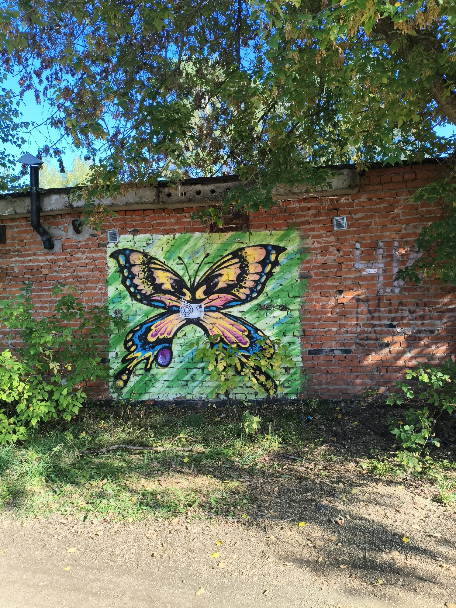 An outdoor, eye-level, medium shot captures a vibrant graffiti art piece of a butterfly on a red brick wall. The butterfly's wings are predominantly yellow with black outlines, accented by bright blue, pink, and purple details. The butterfly is centered on a background of radiating green brushstrokes. On its body, a white target symbol is visible. The wall itself is made of weathered red bricks, with some areas showing white paint and graffiti tags. To the left of the butterfly, a black pipe protrudes from the wall. Lush green foliage and bushes partially obscure the bottom of the wall and the surrounding ground, which is covered in grass and fallen leaves. The scene is illuminated by natural sunlight, casting shadows from the leaves of an overhead tree. The sky is blue and visible through the branches of the tree.