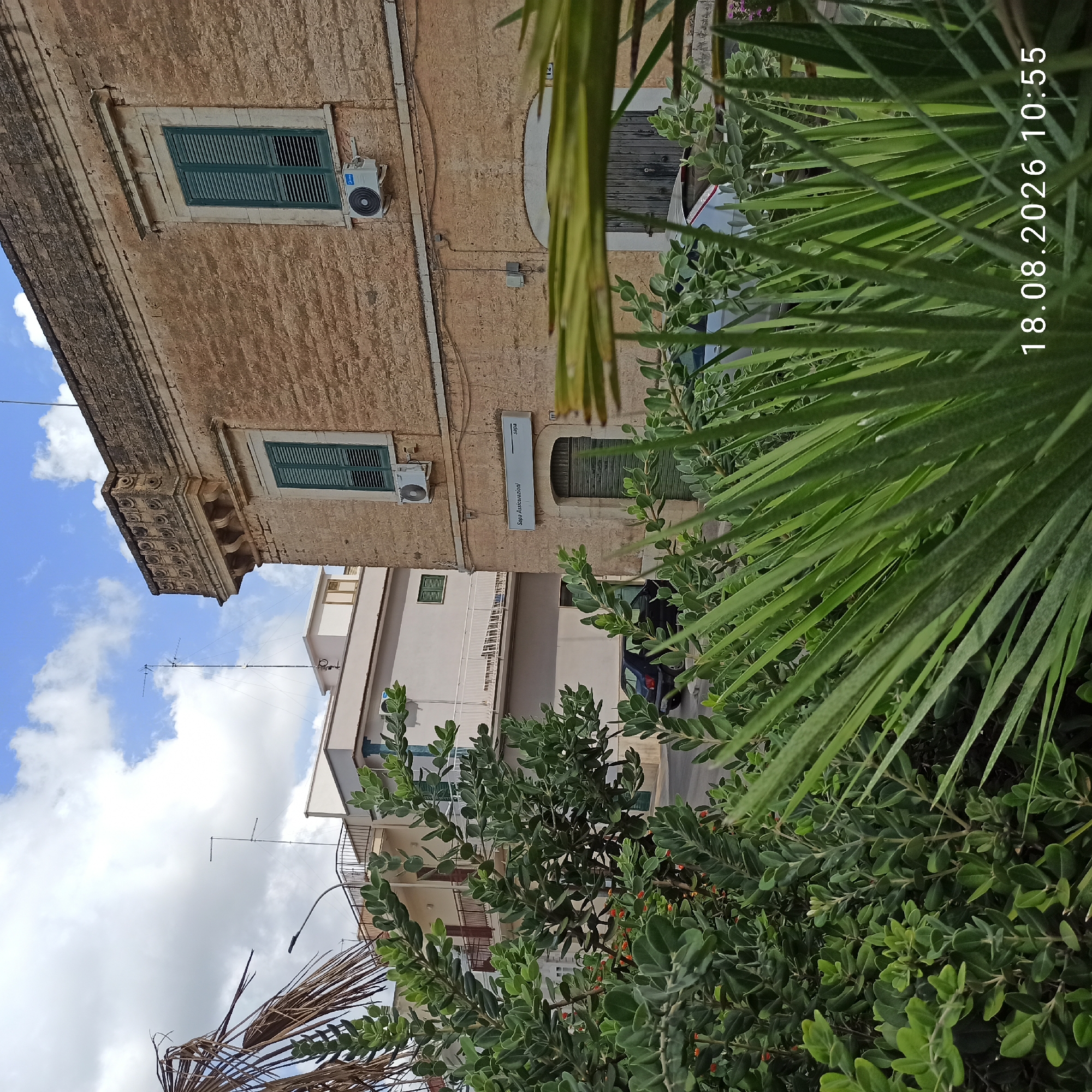 The image shows a view of a street in Bitonto, Italy, on August 18, 2026, at 10:55 AM. The foreground is dominated by lush green foliage, with a dry palm frond visible on the left. Behind the greenery, an old stone building with an ornate cornice is visible, featuring a green-shuttered window and an air conditioning unit. To the left of this building is a modern, lighter-colored building with balconies. A street with parked cars is visible between the buildings. The sky is blue with scattered white clouds. A sign for "Sapa Assicurazioni" is attached to the older building.
