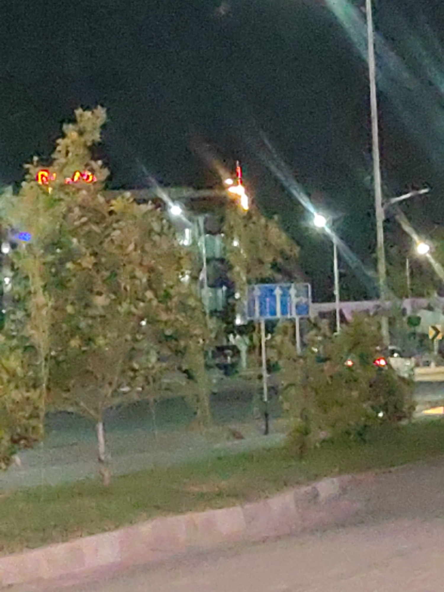 The image depicts a nighttime street scene in Shymkent, Kazakhstan. A building with illuminated signage is visible in the background, partially obscured by trees. Streetlights illuminate the area, casting long streaks of light across the frame. A traffic sign with arrows indicating lane direction is positioned on the right side of the road. The foreground shows a sidewalk and a paved road. The overall impression is one of a typical urban environment at night.