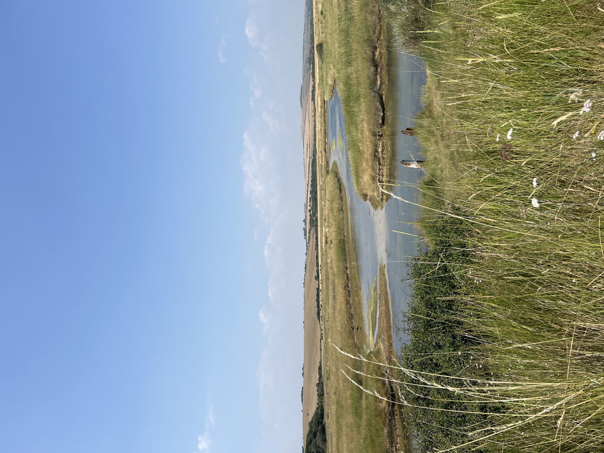 The image shows a natural landscape with a meandering river flowing through marshy grasslands. In the foreground, tall, dry grasses and some green bushes are visible. The river, with calm, reflective water, winds its way into the distance. On the far bank of the river, two figures are standing near the water's edge, appearing to be engaged in some activity. Beyond the marsh, rolling hills covered in dry, golden vegetation stretch across the horizon, meeting a clear blue sky dotted with a few wispy clouds. The overall scene depicts a tranquil rural setting. This location is the River Ouse at the outskirts of Seaford, East Sussex, United Kingdom.