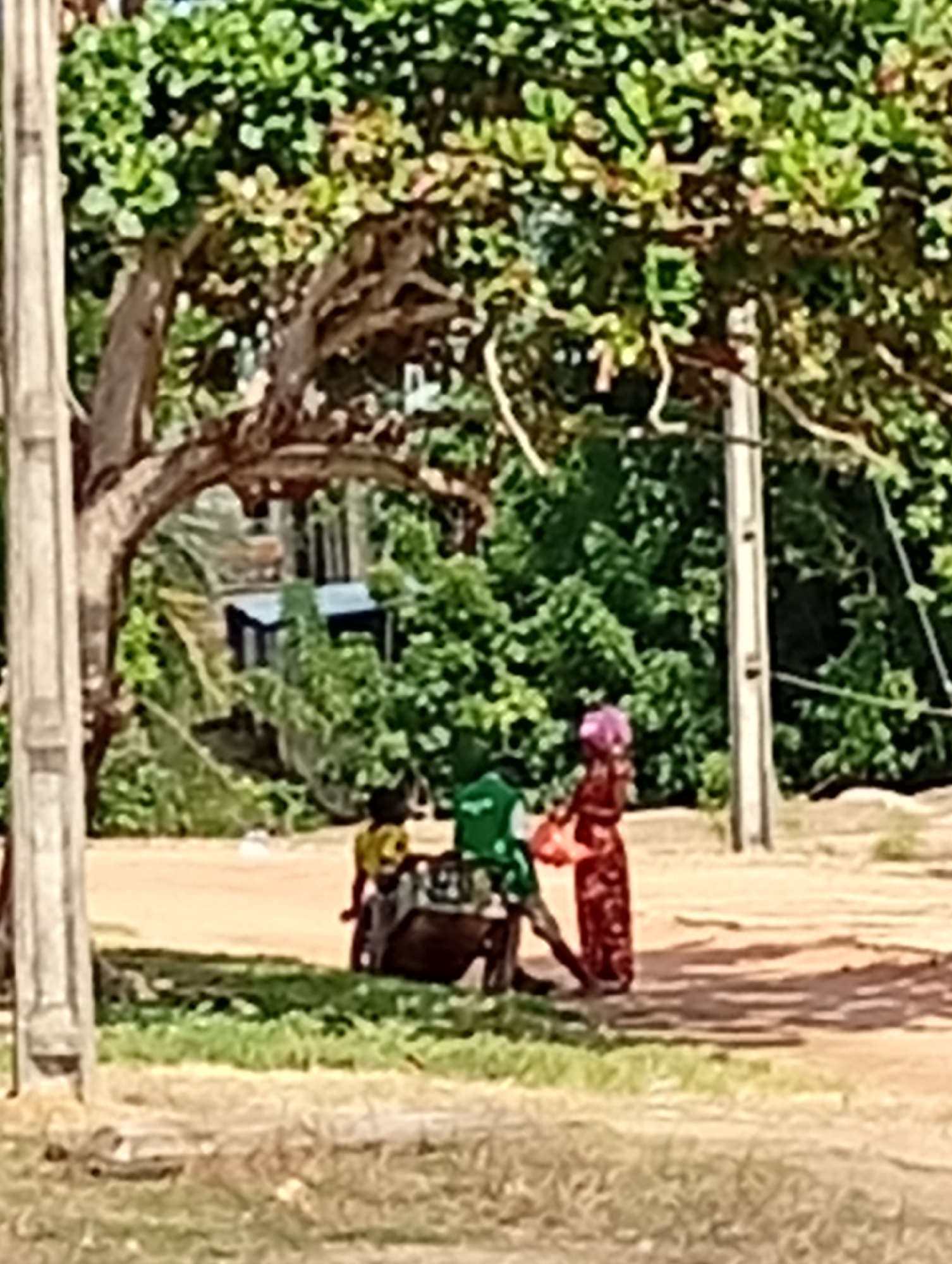 In an outdoor scene, a person wearing a red and black patterned dress and a pink headscarf is standing to the right of a green cart. To the left of the cart, a child wearing a yellow shirt and dark pants is seated. The cart is partially obscured by the child and the person. The background features lush green foliage, a tree with brown branches arching over the scene, and a utility pole on the right. A concrete structure is visible behind the foliage on the left. The ground is a mix of dirt and grass.