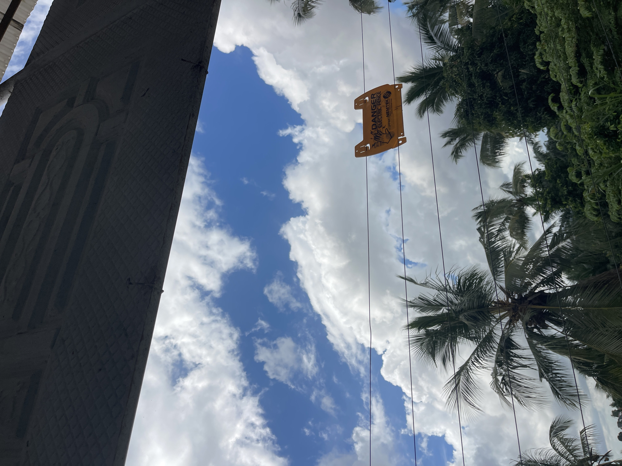 The image, taken in Dar es-Salaam, Tanzania, shows a scene looking upwards towards the sky, partially obstructed by objects and vegetation. On the left side of the frame is a section of a gray concrete structure, possibly a building or monument, featuring decorative recessed arches. The sky is visible with a mix of blue patches and white cumulus clouds. Running diagonally across the frame are several electrical wires. An orange warning sign is suspended from the wires, featuring the words "DANGER ELECTRIC FENCE" and the brand name "NEMTEK". Palm trees and other lush green vegetation are visible on the right side of the image, further obscuring the sky.