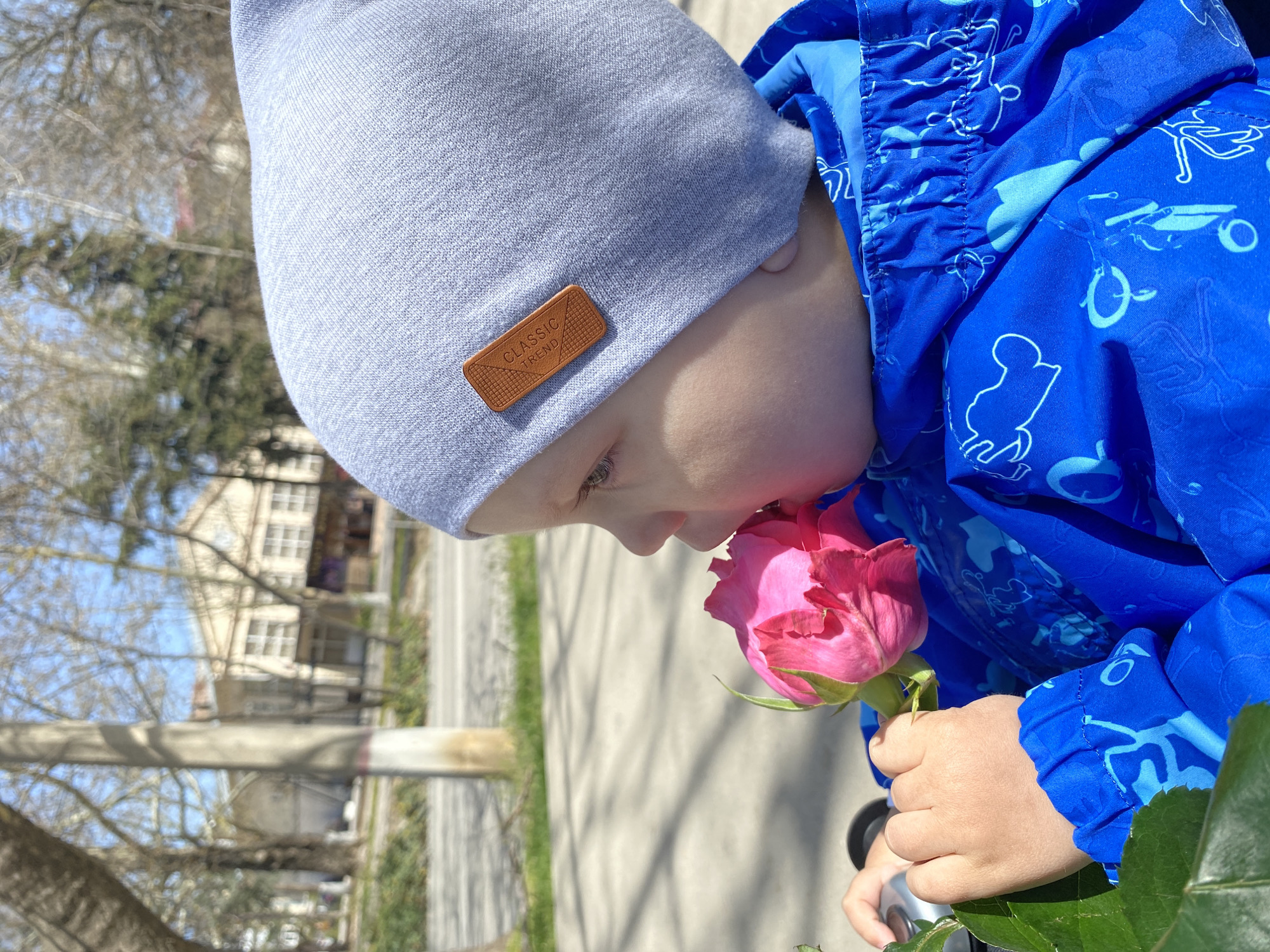 A child wearing a light blue beanie and a blue jacket with cartoonish Mickey Mouse-type figures is holding and smelling a pink rose. The scene is outdoors, with a sidewalk and trees in the background. The buildings across the street suggest a residential or urban area. The image is rotated 90 degrees clockwise. Location is difficult to ascertain precisely without additional contextual clues, but the architecture and vegetation are consistent with a city like Sevastopol, Ukraine.