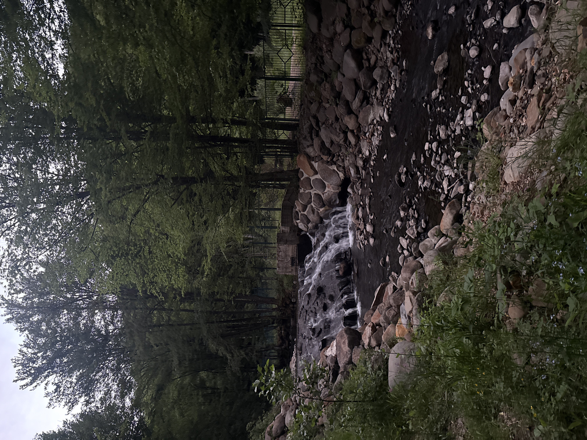 The image shows a stream cascading over rocks in a forested area. The stream bed is lined with large, rounded stones of varying sizes. The water is flowing rapidly, creating a small waterfall effect. Dense trees surround the stream, with some overhanging branches. A fence and a small structure that could be a bridge are visible in the background, partially obscured by the trees. The foliage appears lush and green. The location is Synyak, Ukraine, based on the prompt.