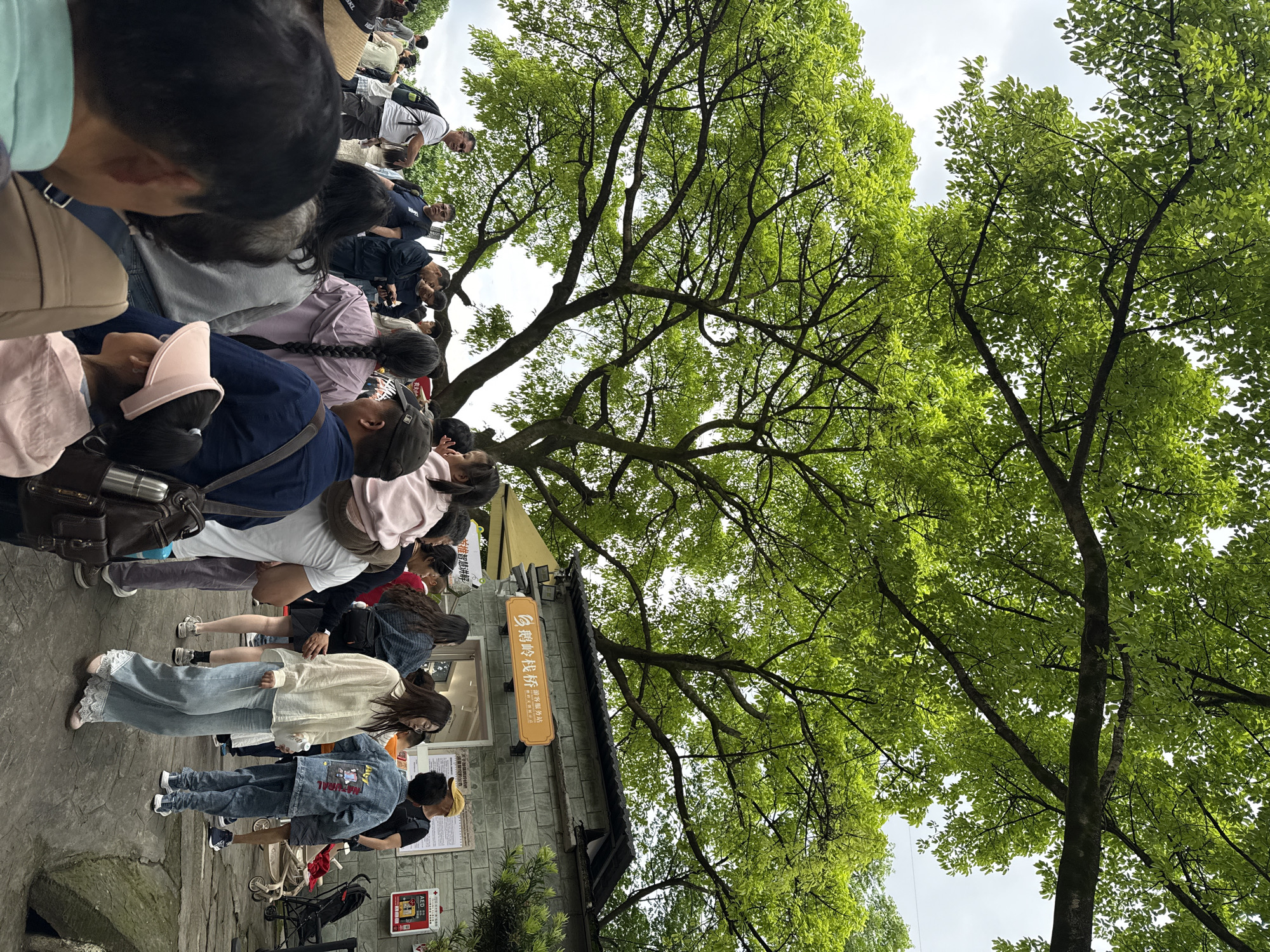 A low-angle, outdoor shot shows a crowd of people lined up in front of a stone building, partially obscured by a large tree with bright green leaves. The building has a sign with vertical Chinese characters on a yellow rectangular background. The crowd consists of individuals of varying ages and attire. The sky is overcast and grey. The location is likely in Yuzhong District, China, as suggested by the Chinese writing on the sign.