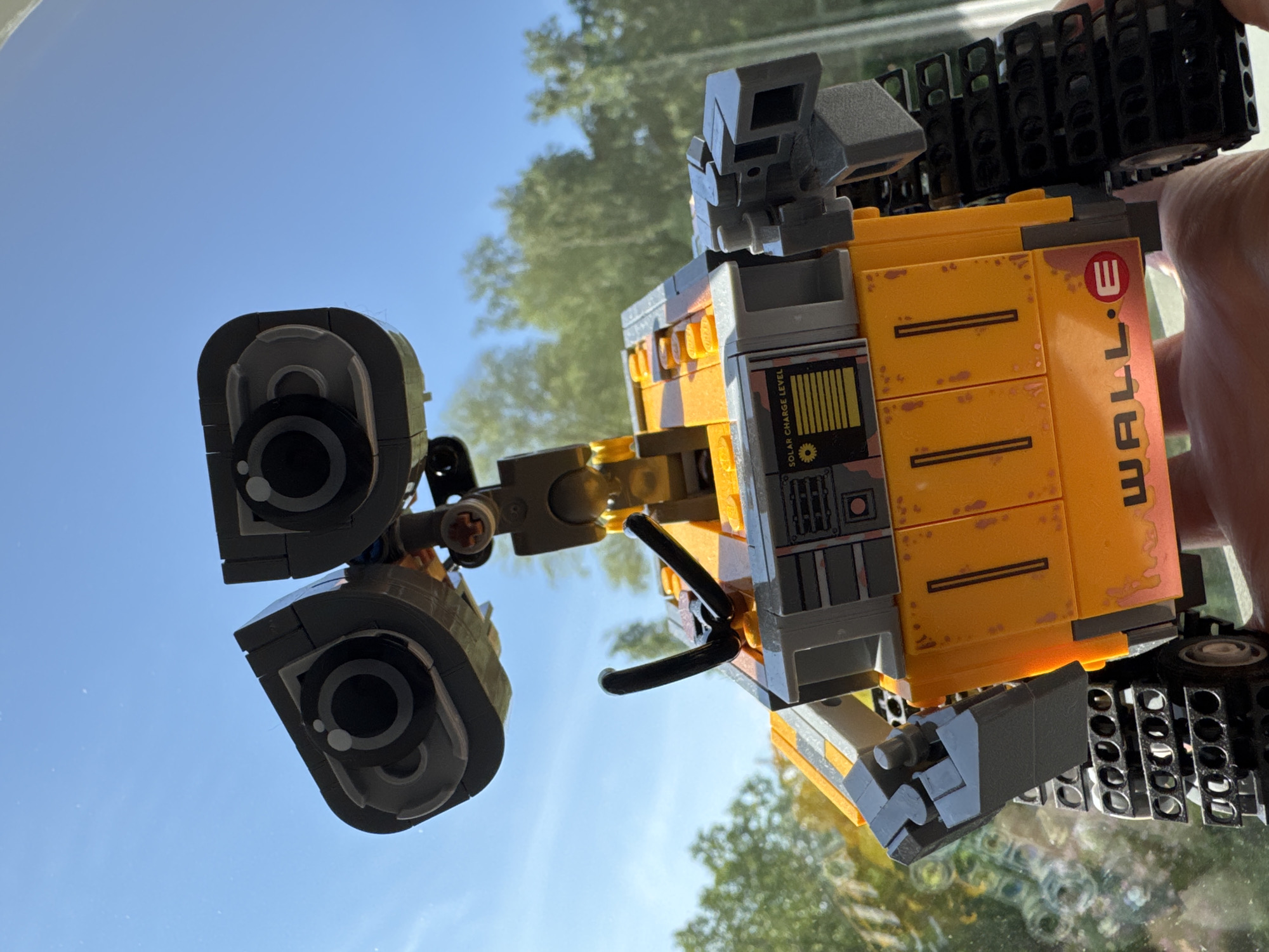 A Lego model of WALL-E, the robot character, is prominently featured in this brightly lit, rotated image. The model is primarily yellow and gray, with black track treads visible on the right side, and distinct, round eyes facing the viewer on the left. The robot's body shows weathering details, such as rusted-looking patches printed on the yellow bricks.
The background consists of a clear, bright blue sky dominating the upper part of the frame, with blurred green foliage, likely trees, visible in the lower part, suggesting an outdoor setting or a view through a window. The time of day is daytime, with sunny weather. A human hand is partially visible on the far right, holding the WALL-E model.
Visible text on the robot includes "WALL·E" printed vertically in red and black on its right side. On a gray tile on the robot's front, the words "SOLAR CHARGE LEVEL" are printed above a graphical display, along with smaller text "12.0V" and "30A". The image is oriented sideways, giving the impression that the robot is tilted or the camera was held in portrait mode and then rotated. The overall scene conveys a cheerful, well-lit snapshot of the detailed Lego model.