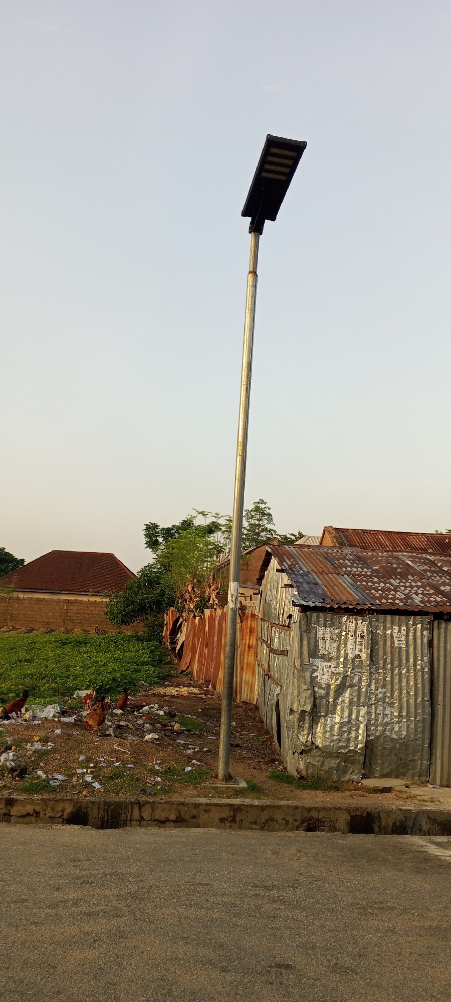 A solar-powered street lamp stands tall on a metal pole on the right side of a paved road. To the right of the lamp, a small, dilapidated structure constructed from corrugated metal sheeting with a rusty, corrugated metal roof is visible. In the background, behind the metal structure and the lamp pole, there is a long, rusty corrugated metal fence. Further to the left of the frame, a building with a red, corrugated metal roof and brick walls is partially visible, surrounded by lush green vegetation. Several chickens are scattered across a patch of uneven ground littered with trash in front of the fence. The sky above is clear and pale.