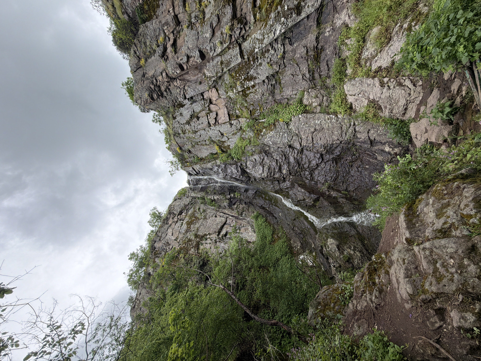 The image shows a downward-angled view of a waterfall cascading down a steep, rocky cliff face in Ustina, Bulgaria. The sky is overcast with grey clouds. The cliff is covered in vegetation, including moss, shrubs, and trees. Water flows down the rocks. The image is taken from a low angle, giving the viewer the impression of looking up at the cliff and waterfall. There are no people visible in the image.