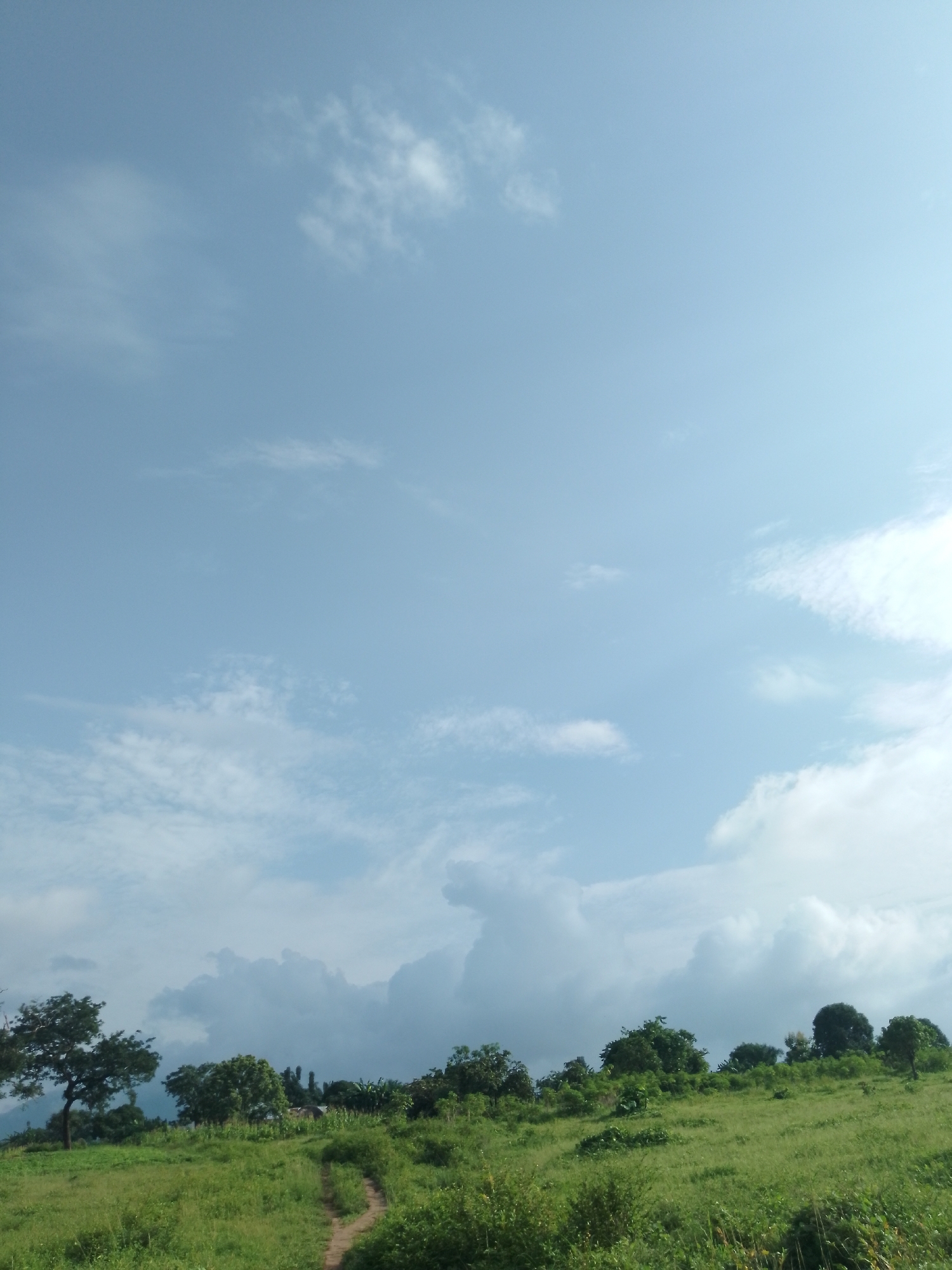 The image depicts a scenic view of a grassy hill under a partly cloudy sky in Serti, Nigeria. A dirt path winds its way up the slope. Several trees dot the landscape, with some clusters of them forming a tree line in the distance. The sky is a blend of light blue with scattered white clouds, suggesting fair weather. The vegetation appears lush and green, indicating a healthy ecosystem. The overall impression is one of rural tranquility.