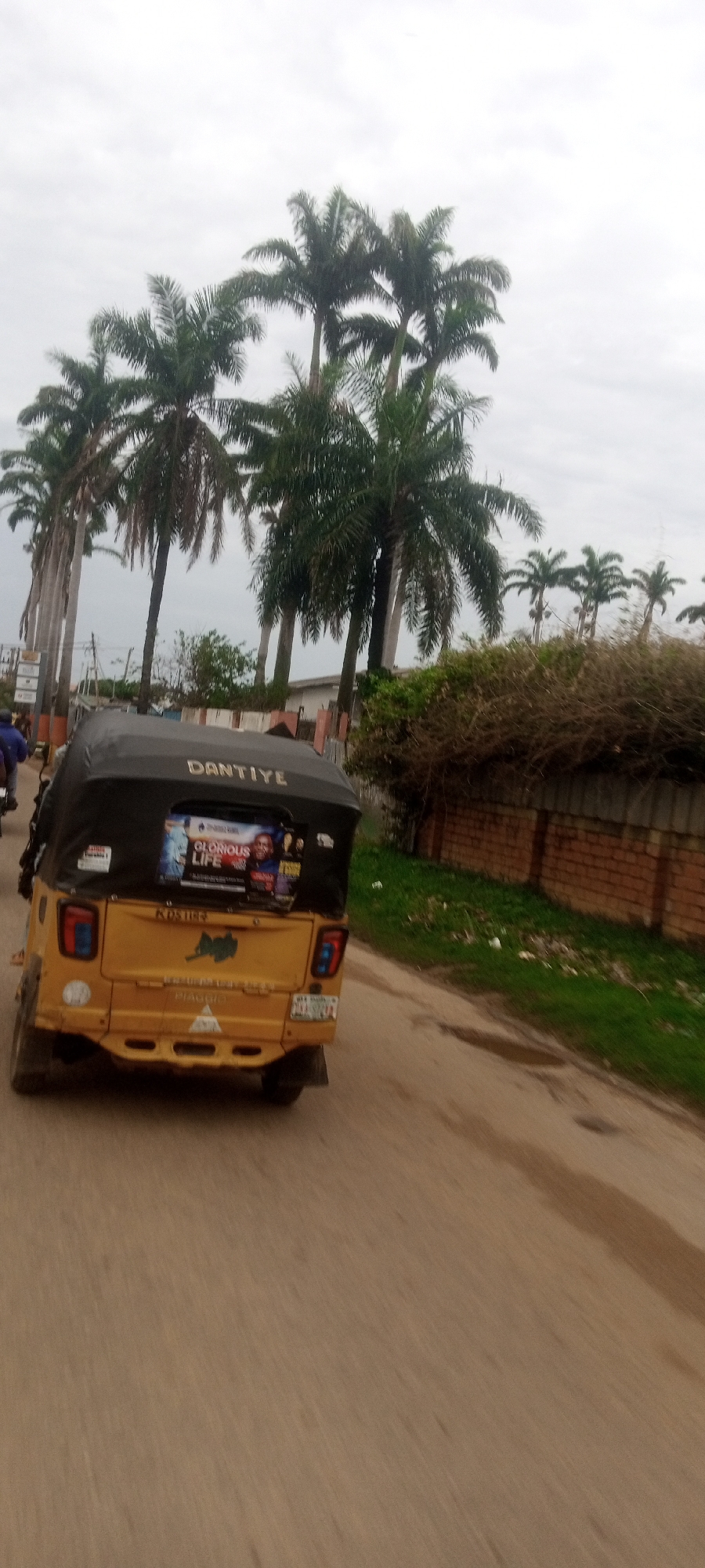 The image shows a yellow three-wheeled vehicle, known as a "keke" or "tricycle taxi," moving along a paved road in Narayi, Nigeria. The keke has a black cover and the name "DANTIYE" printed on top. There's a poster advertising a "GLORIOUS LIFE" event attached to the back of the keke.
The background features palm trees lining the street, a brick wall covered in bushes, and an overcast sky. The road appears damp, with patches of green vegetation along the roadside. A person on a motorcycle can be seen to the left. The scene suggests an urban or suburban environment within Narayi, Nigeria.