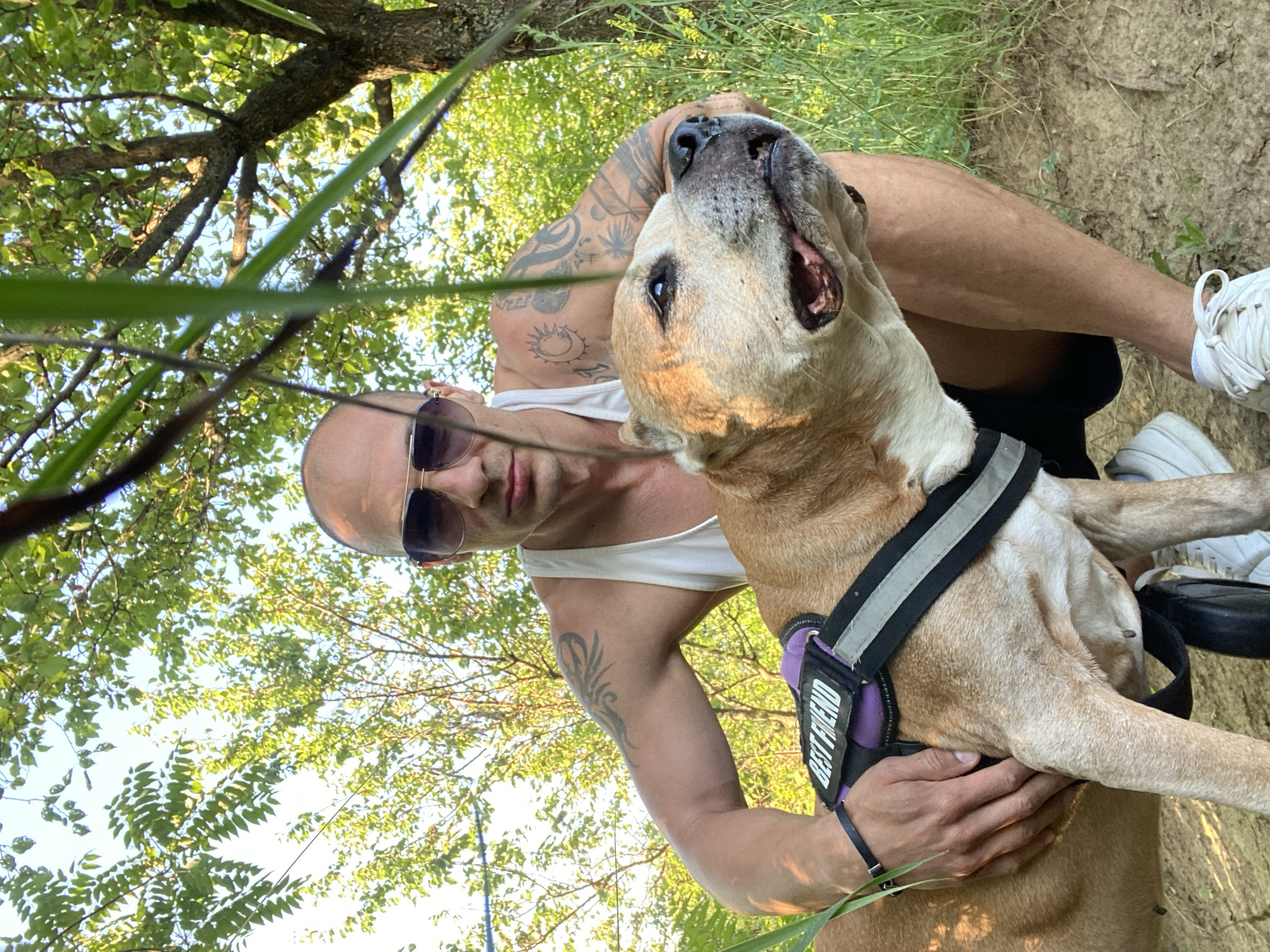 A man and a dog are in a natural environment, likely outdoors. The man is partially visible from the chest up, wearing a white tank top and sunglasses. He has tattoos on his arms. He is holding a tan-colored dog, which is looking to the right with its mouth slightly open. The dog is wearing a harness with the words "BEST FRIEND" visible on it. The background consists of green foliage, trees, and a glimpse of the sky. The ground appears to be dry and sandy. The overall lighting suggests it is daytime. The location is specified as Pleven, Bulgaria.