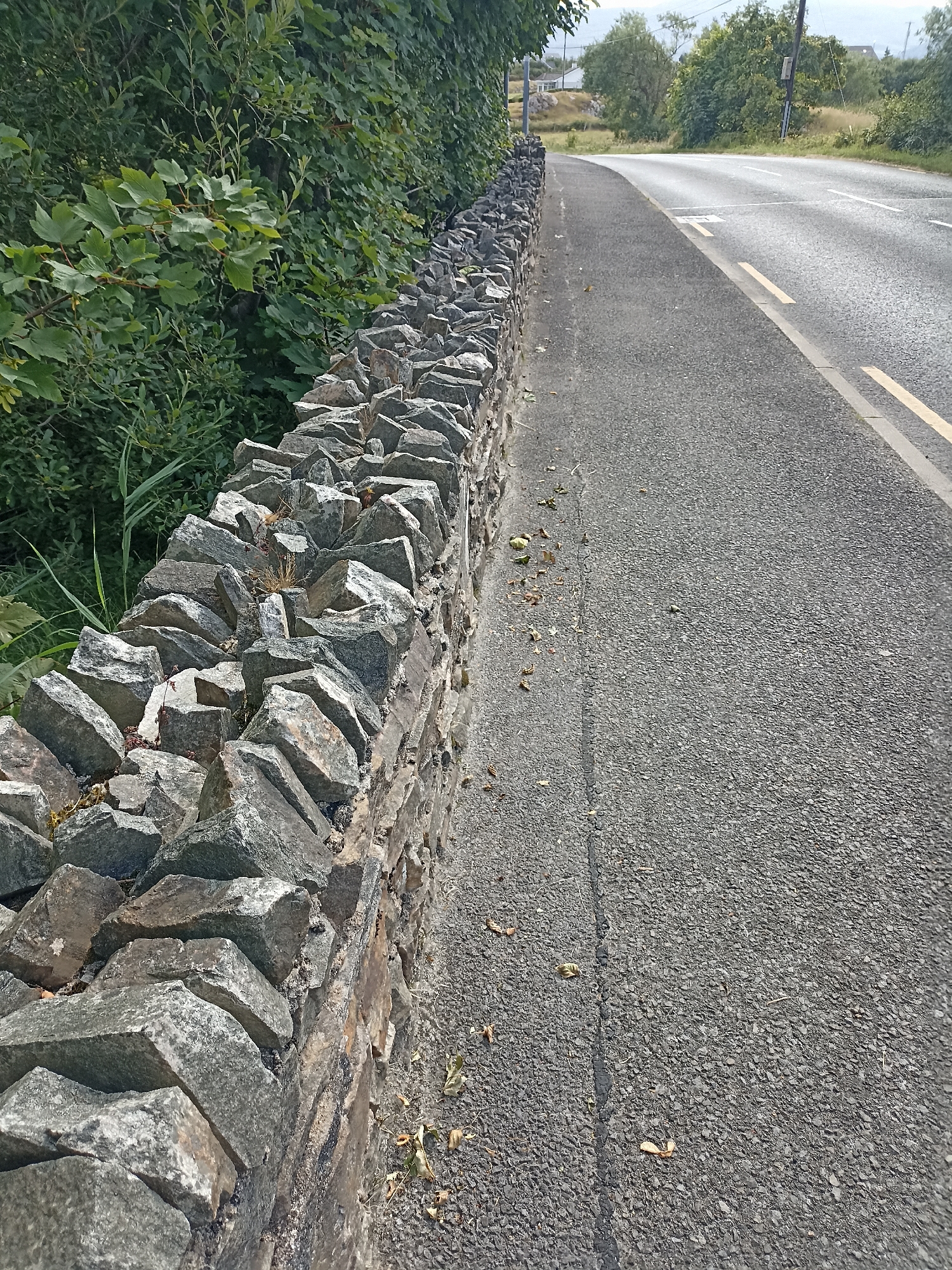The image depicts a stone wall bordering a rural road in Annagry, Ireland. The wall is constructed from irregular grey stones of varying sizes, stacked without visible mortar. Lush green foliage, including trees and bushes, grows on the left side of the wall. The road, paved with asphalt, curves to the right and features double yellow lines marking the center. The road surface shows some signs of wear and tear, with a visible crack running down the center. Scattered leaves and small debris are present on the road and along the edge of the wall. The background shows more trees, fields, and a few distant houses, suggesting a semi-rural or countryside setting. The sky is bright, indicating daylight. No people are present in the image.