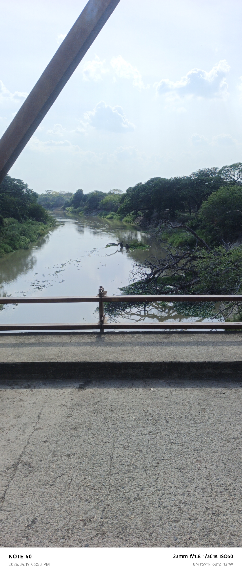 The image captures a view of a river from what appears to be a bridge in El Baúl, Venezuela. A metal beam is visible in the upper left corner, suggesting part of the bridge structure. The river flows horizontally across the frame, reflecting the sky and surrounding vegetation. Green trees and shrubs line the riverbanks, creating a lush, natural environment. Dead branches and aquatic plants are visible in the river. The foreground shows the bridge surface, with a metal railing. The sky is bright, with scattered clouds. At the bottom of the image, metadata indicates the location as 8°41'59"N 68°21'12"W.