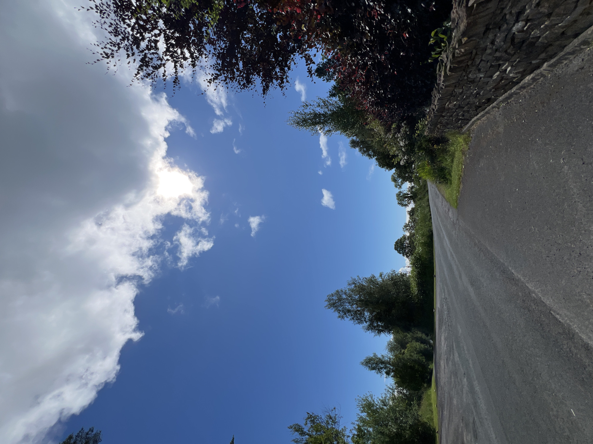 A paved road curves through a rural landscape under a bright blue sky. The sun is partially obscured by a large, white cloud formation, casting a bright glow. To the right of the road, a dry stone wall runs alongside, bordered by lush green grass and dark red-leaved foliage. Trees with varying shades of green foliage line the left side of the road and the distant horizon. The road appears to be a country lane, possibly leading into or out of Mountcharles, Ireland, given the presence of the stone wall and the natural, uncultivated vegetation. No people or vehicles are visible in the scene. The overall impression is one of a peaceful, sunny day in the Irish countryside.