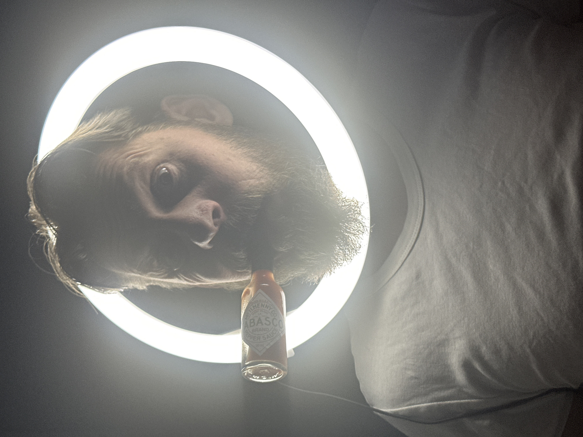 A photograph depicts a man with a beard in a white t-shirt, positioned under a ring light. In front of his mouth is a bottle of Tabasco hot sauce. The location is unknown and the photograph does not appear to be in Fethiye, Turkey.