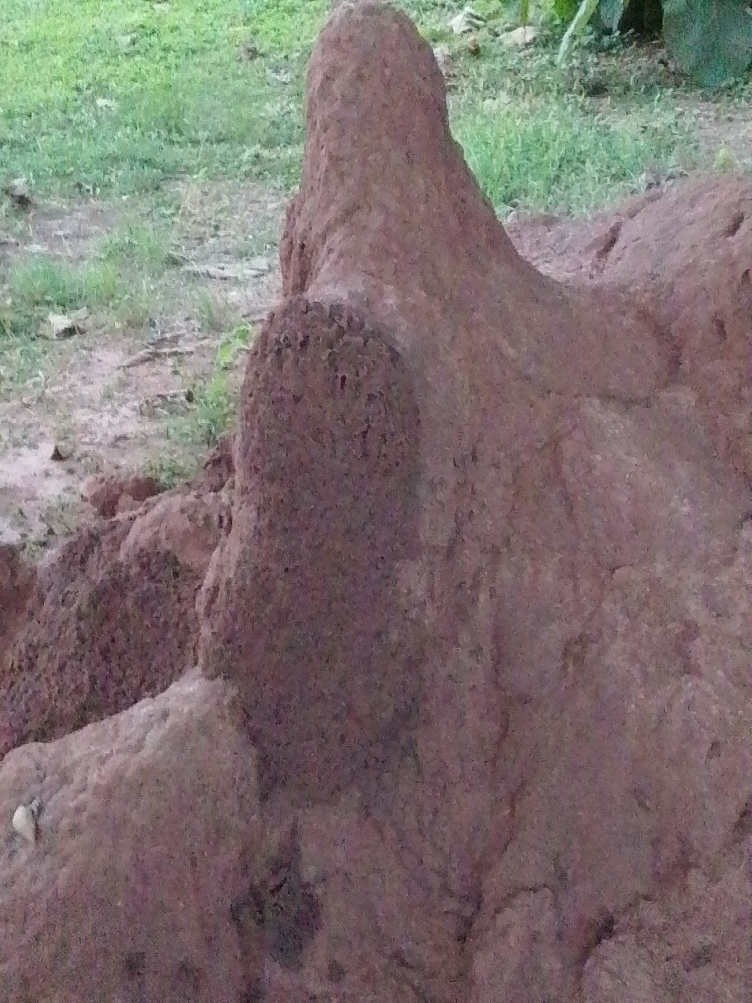 The image shows a close-up view of a large termite mound in Serti, Nigeria. The mound is made of reddish-brown soil and has an irregular, layered shape. The texture of the mound appears rough and porous, with visible clumps and indentations. In the background, there is a patch of green grass and some dry earth, suggesting an outdoor environment. There are no people or animals visible in the image. The lighting is diffused, indicating it might be overcast or taken during a time of day with soft light.