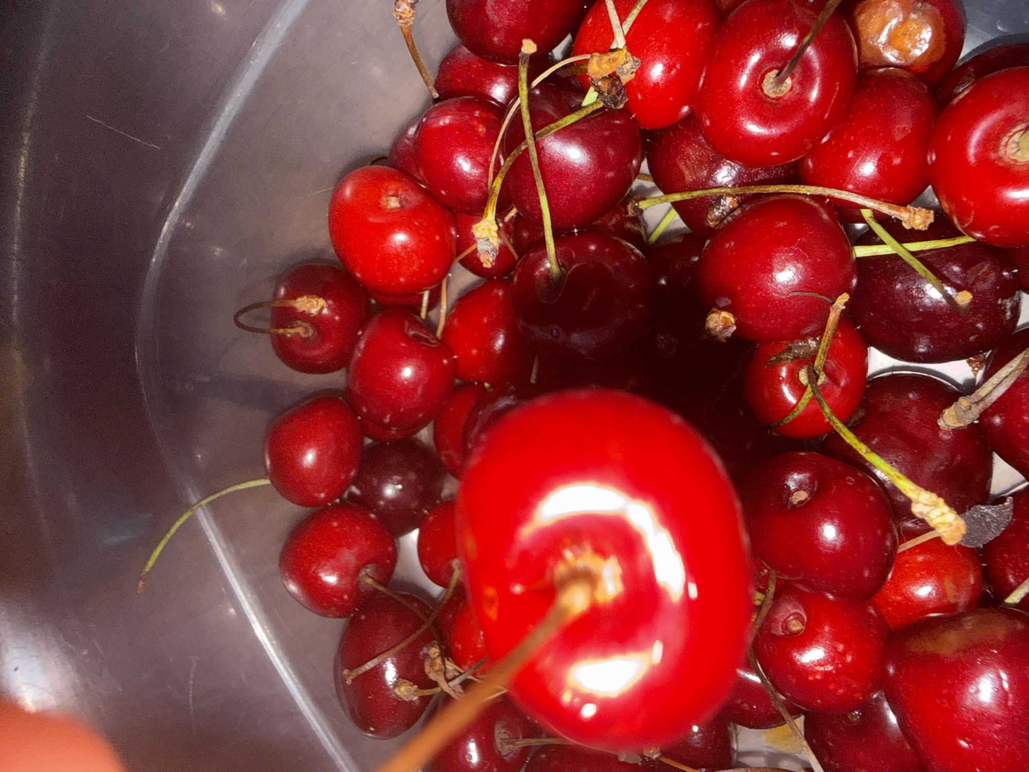 A close-up, overhead shot captures a collection of dark red cherries filling a clear plastic container. The cherries are piled high, with many of them showing their stems. The lighting in the image is somewhat harsh, creating bright highlights on the glossy surfaces of the cherries. The background consists of the interior of the container and a blurry, dark surface beyond it. There are no discernible geographic markers or clues to suggest a specific location in Tbilisi, Georgia, or any other city. The image focuses solely on the cherries.