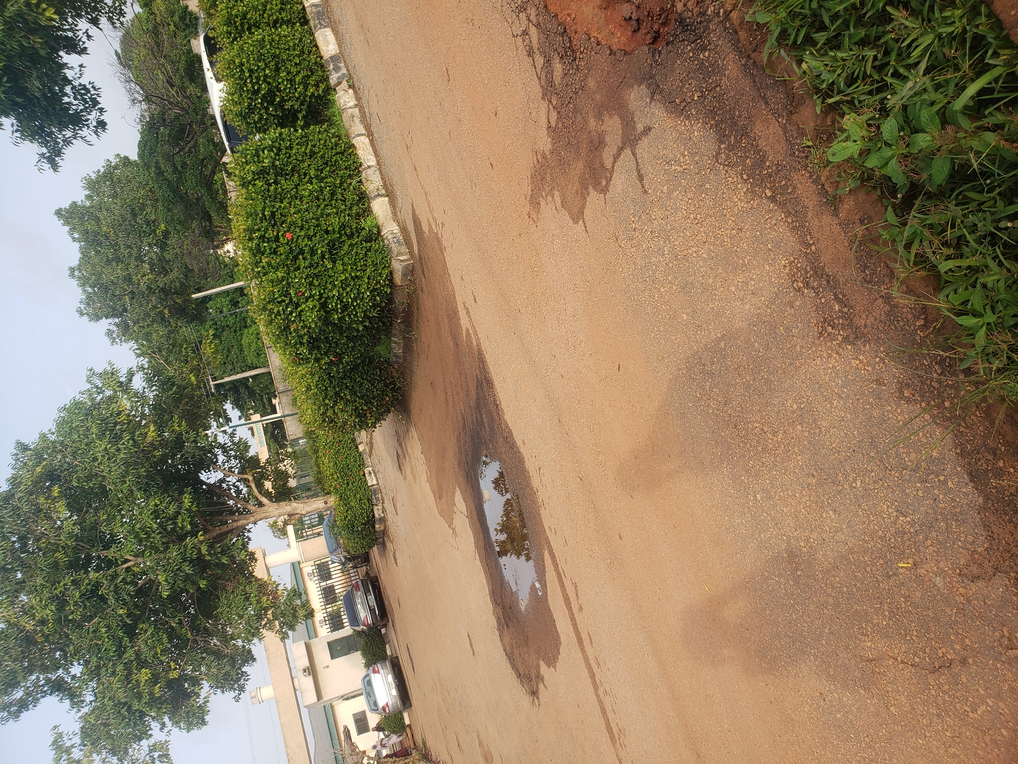 This image depicts a street scene in Kaduna, Nigeria, captured during daytime under a bright, possibly hazy or overcast sky. The focal point is a light brown, paved road showing signs of wear and tear, including patches of darker, damp earth and a prominent puddle reflecting the sky and nearby trees.
Along the left side of the road, a curb made of alternating light and dark blocks separates the pavement from a dense, well-trimmed hedge of green bushes, some of which feature small red flowers. Further along the right edge of the road, green grass and weeds grow from the reddish-brown soil.
In the mid-ground, several large, lush green trees provide shade, partially obscuring light-colored buildings that appear to be residential or institutional. Two cars, a silver sedan and a darker one, are parked beside these buildings. Utility poles are also visible among the trees and structures.
The presence of the large puddle and damp ground suggests recent rainfall. No people or specific activities are visible, presenting a quiet, everyday street environment. There is no discernible text in the image.