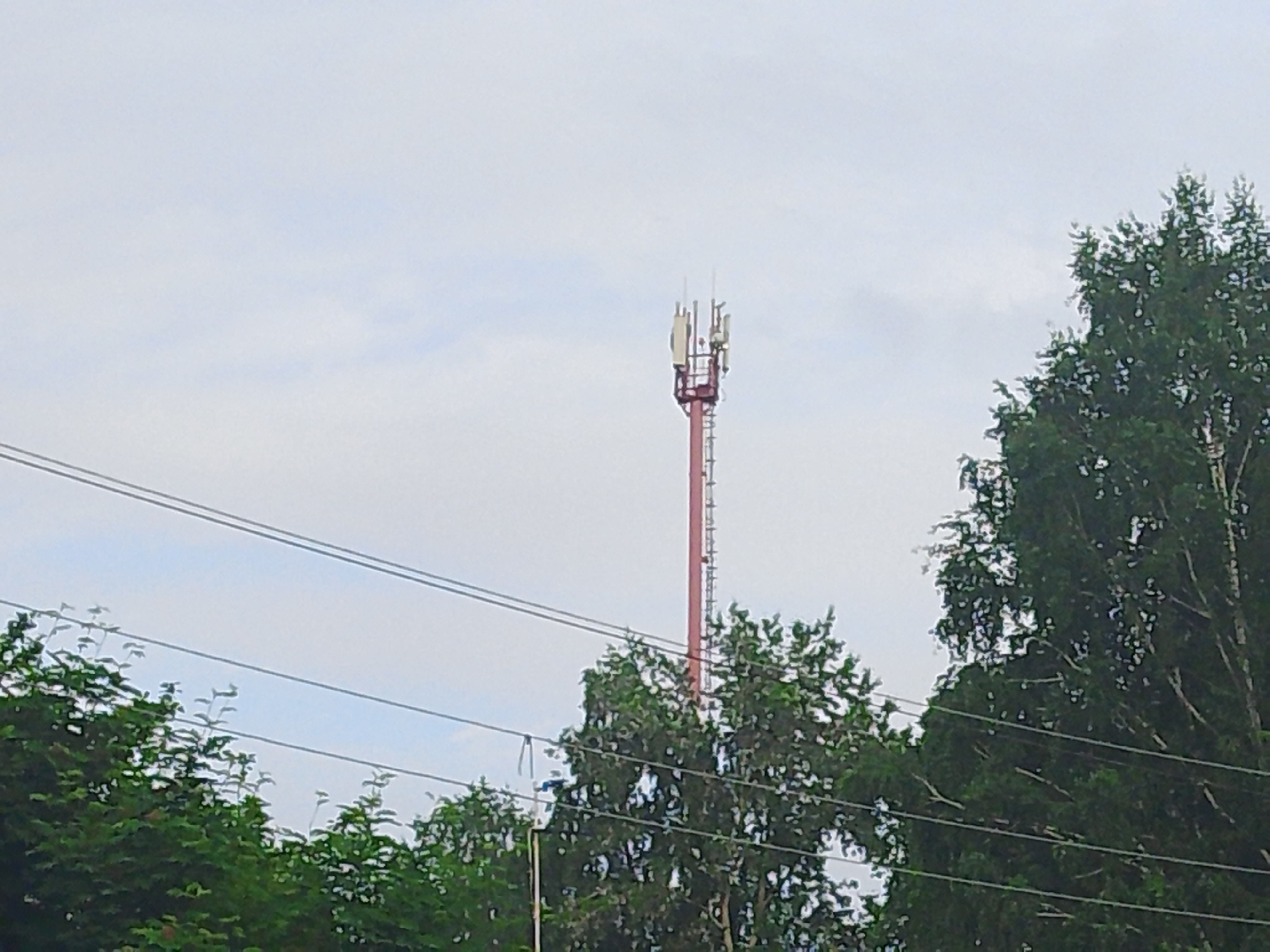 A cell tower is visible in the distance, situated in Malysheva, Russia. The tower is a slender, red lattice structure with antennas and communication equipment at its peak. It is surrounded by lush green trees, with some branches extending into the foreground, partially obscuring the view. Power lines are strung across the frame, adding a layer of utility infrastructure to the natural landscape. The sky is overcast with a pale, diffused light, suggesting a cloudy day. The scene depicts a common urban or semi-urban environment where technology and nature coexist.