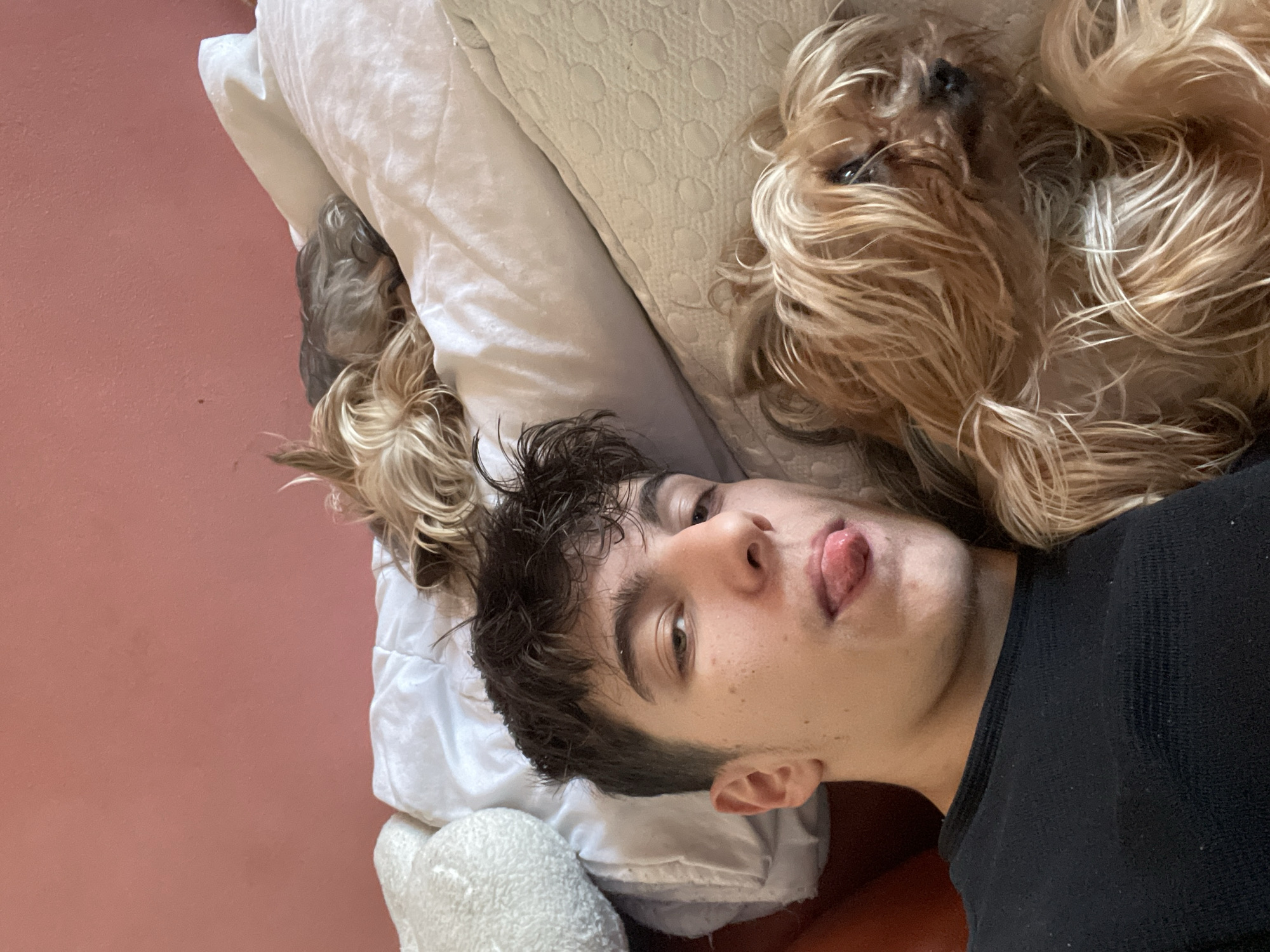 The image captures a relaxed indoor scene featuring a young person and two small dogs, likely in a bedroom in Burgas, Bulgaria. A young male with dark, wavy hair, light skin, and freckles is the central figure, lying on his back and looking directly at the camera with his tongue playfully extended. He has brown eyes and is wearing a black t-shirt.
Lying beside his head on a white pillow is a long-haired, golden-brown dog, appearing to be a Yorkshire Terrier, also looking towards the camera with its dark eyes visible through its shaggy fur. A second, lighter-colored dog, possibly another Yorkshire Terrier with silver/blonde fur, is partially visible near the person's head, mostly obscured by pillows.
The subjects are on a bed furnished with a plain white pillow and a light beige, textured pillow. A fluffy white blanket or plush item is partially visible in the foreground. The background features a solid, light peach or terracotta-colored wall. The lighting is soft and even, suggesting daytime. The overall atmosphere is casual and intimate, depicting a moment of companionship. No text is visible in the image.