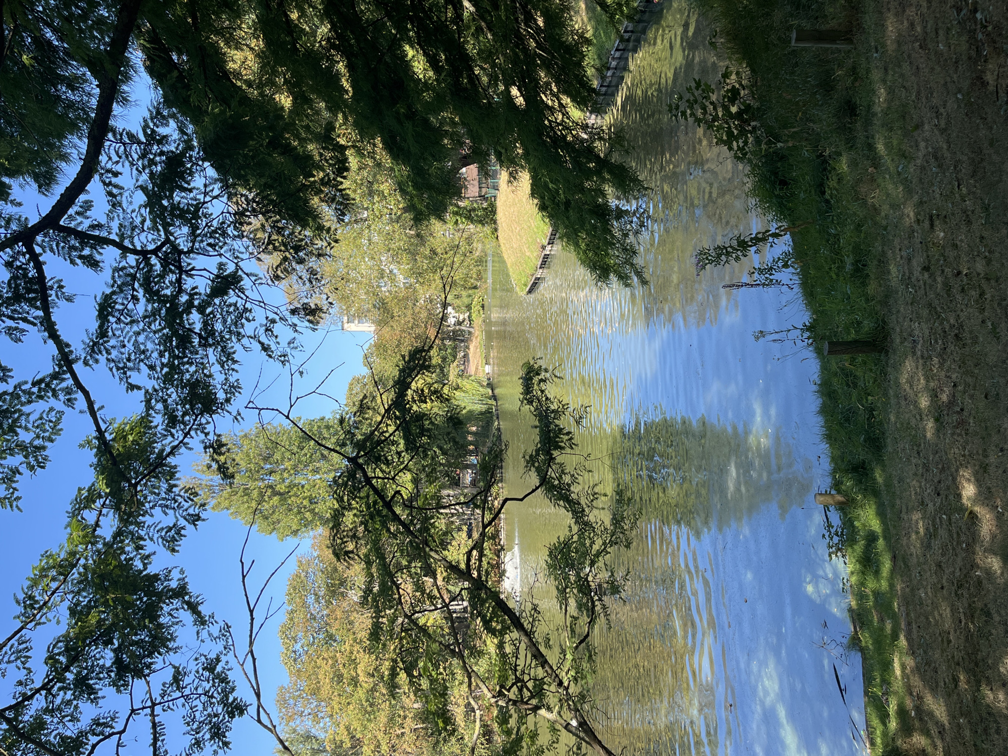 This is a photograph of the Leopoldpark pond in Ostend, Belgium, on a clear day. The pond is calm and reflects the surrounding trees and buildings. The foreground is dominated by lush green grass and some mature trees with branches that partially obscure the view of the pond. In the middle ground, a bright green grassy island juts out into the pond, and on it sits a small, quaint wooden pavilion with a red roof. Beyond the island, the pond curves to the right, with more trees lining the opposite bank. In the distance, several buildings are visible, including a taller, white structure that stands out against the blue sky. The overall impression is one of a peaceful, idyllic park scene, typical of a summer day in Ostend.