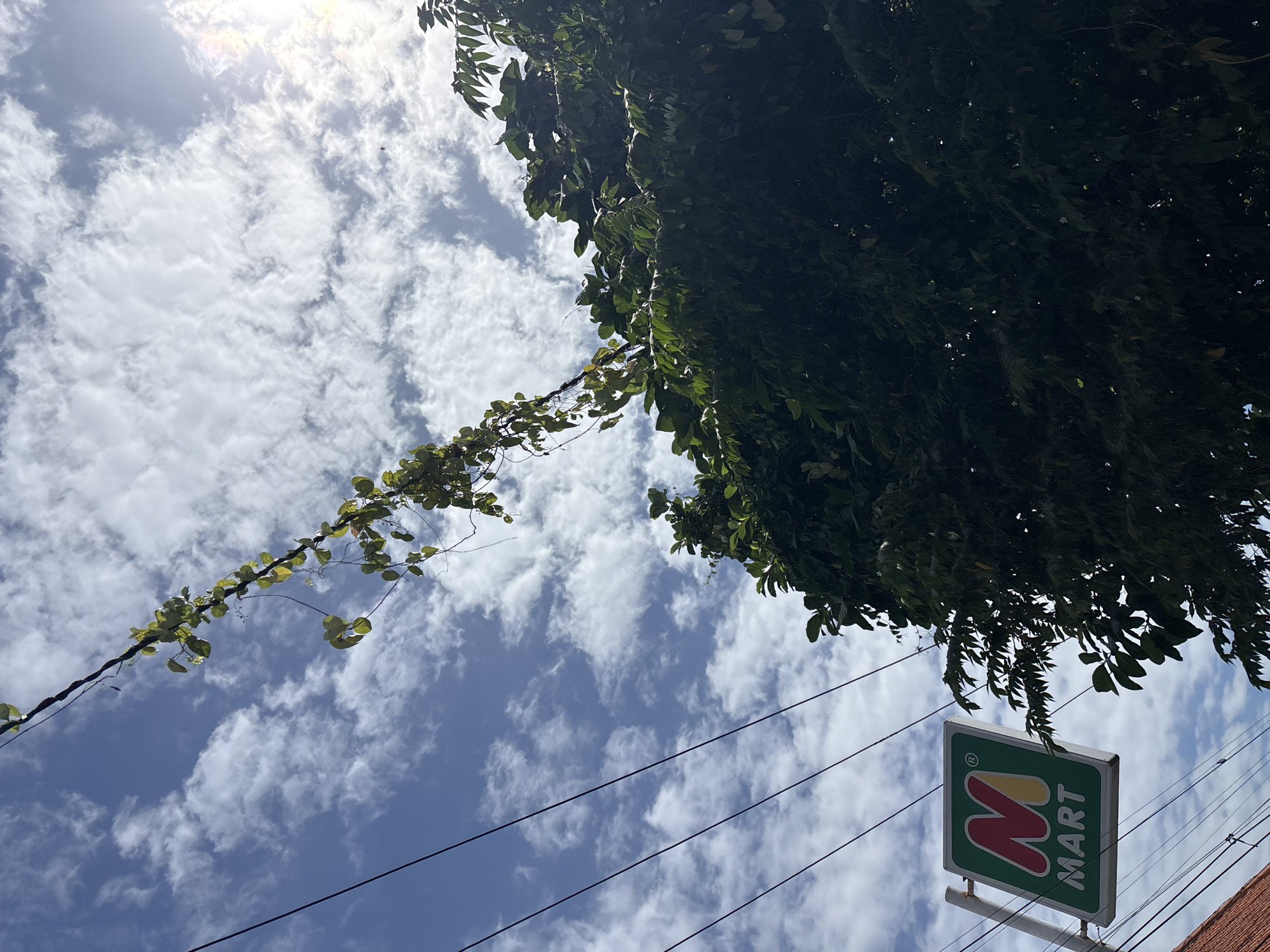 The image shows a low-angle view looking up at a partly cloudy sky in North Kuta, Indonesia. Dense green foliage is on the upper right, and a vine stretches diagonally from the upper left to the center. Three parallel power lines run across the bottom half of the image. In the lower right corner, a sign for an "M Mart" is visible. The sky is blue with scattered white clouds. The sun is visible through the clouds in the upper left, causing a glare.