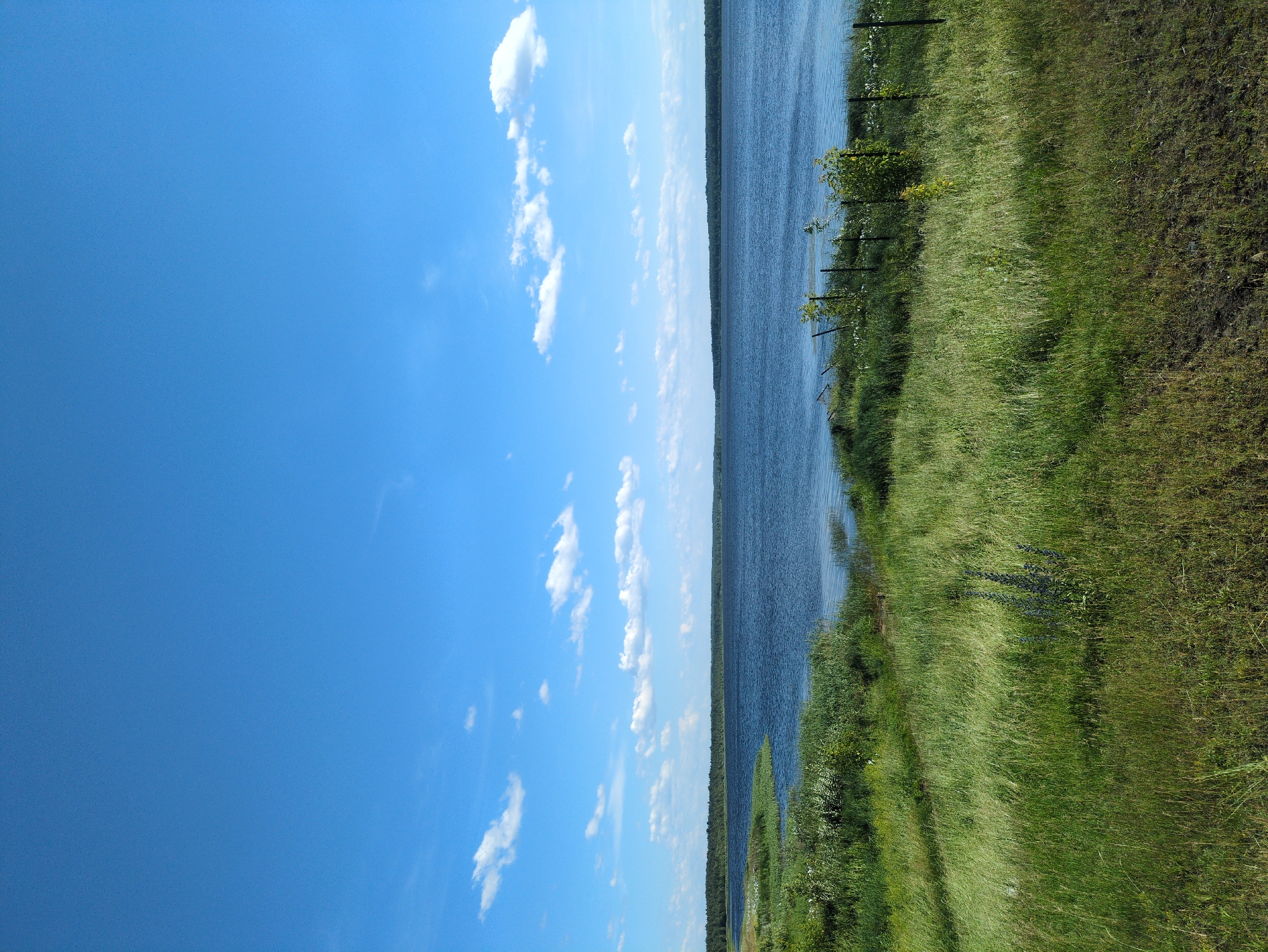 This media file depicts a natural landscape scene, oriented vertically, featuring a wide, calm body of water on the right side, bordering a lush, green grassy embankment. The sky, a vibrant blue with scattered white cumulus clouds, occupies the left portion of the frame. The water's surface reflects the sky and the distant tree line, which appears as a dark green band along the horizon. The grassy embankment is dense and appears to be a mix of tall grasses and smaller plants, with some evidence of dirt or mud patches interspersed within the greenery, suggesting a natural, perhaps uncultivated, area. A few thin, dark poles, possibly part of a fence or marking, are visible along the edge of the embankment. The overall impression is one of a serene and peaceful natural setting on a clear, sunny day. The lighting suggests it is daytime, likely late morning or afternoon, given the brightness of the sky and the absence of strong shadows. There is no discernible activity or event taking place; the scene is static and focuses on the beauty of the natural environment. No people or man-made objects beyond the faint poles are visible. The location context of Velet'ma, Russia, would place this scene in a region characterized by such natural waterways and vegetation. No text is visible in the image.