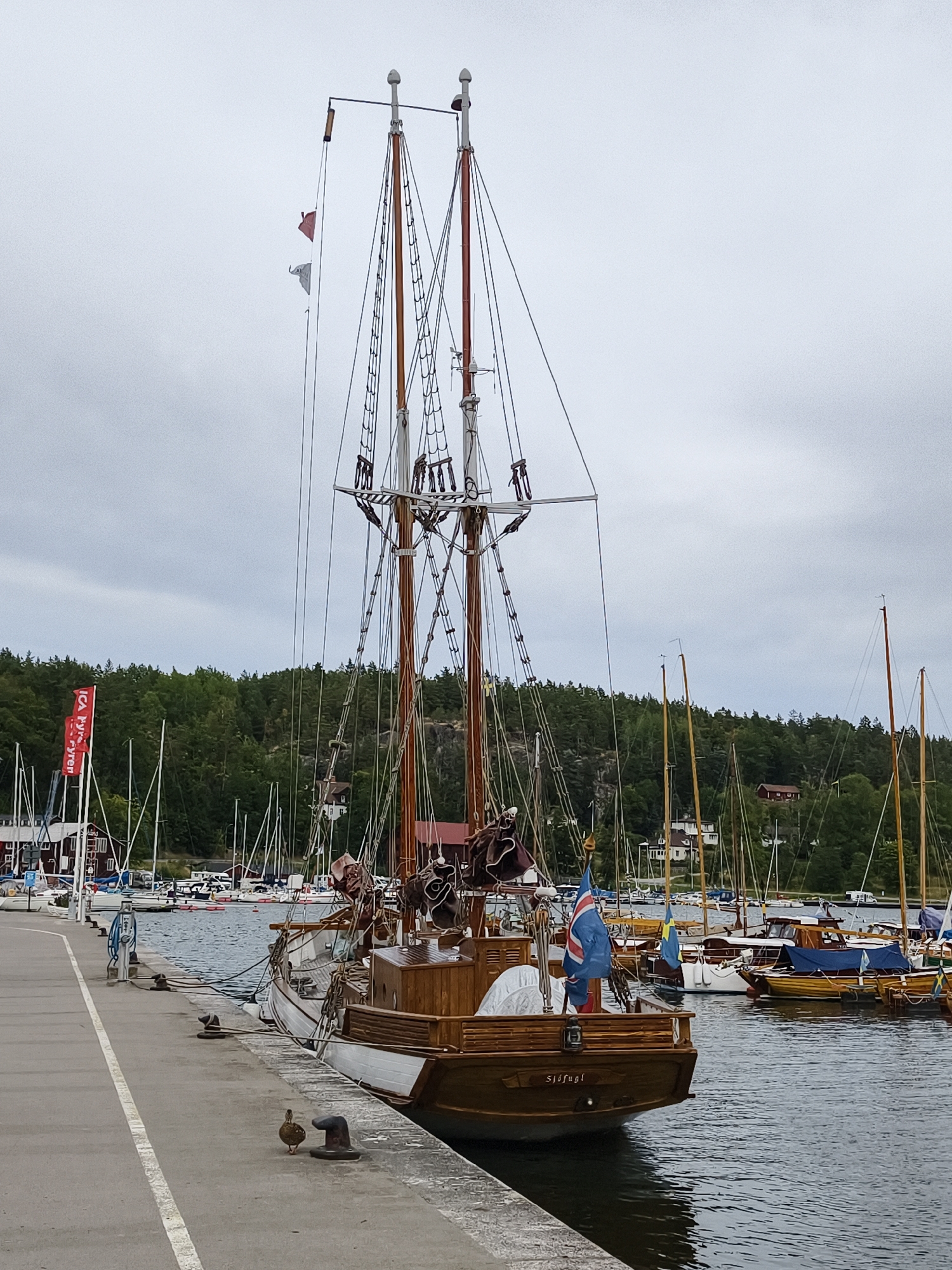 A wooden sailboat named "Sjösfugl" is docked at a marina in Valdemarsvik, Sweden. The sailboat has two masts with rigging and sails furled. It is positioned alongside a concrete pier, where two ducks are present. Other sailboats and vessels are visible in the background, moored in the water. A forested hillside with some buildings is seen behind the marina. The sky is overcast.